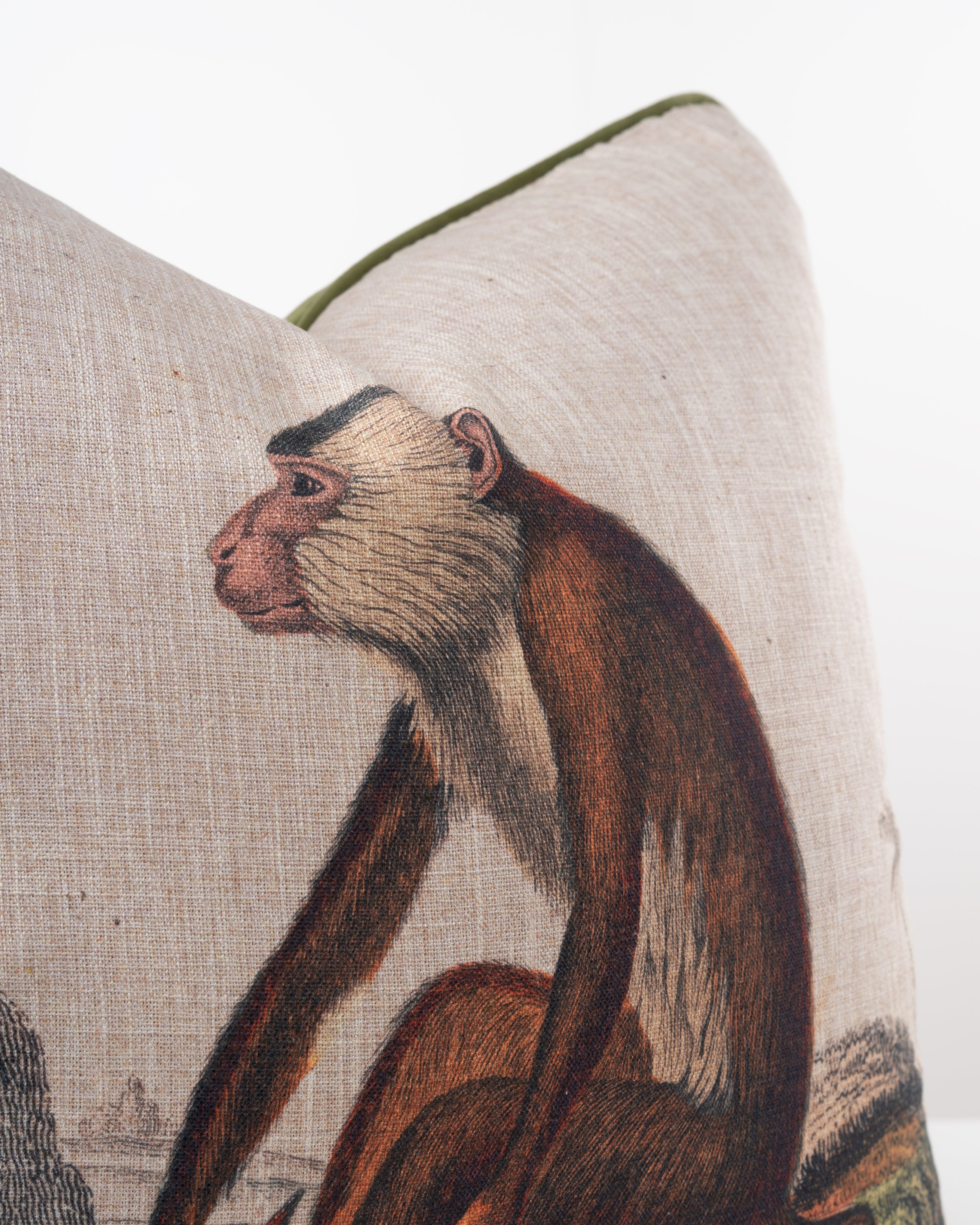 Ancient Monkey Cushion