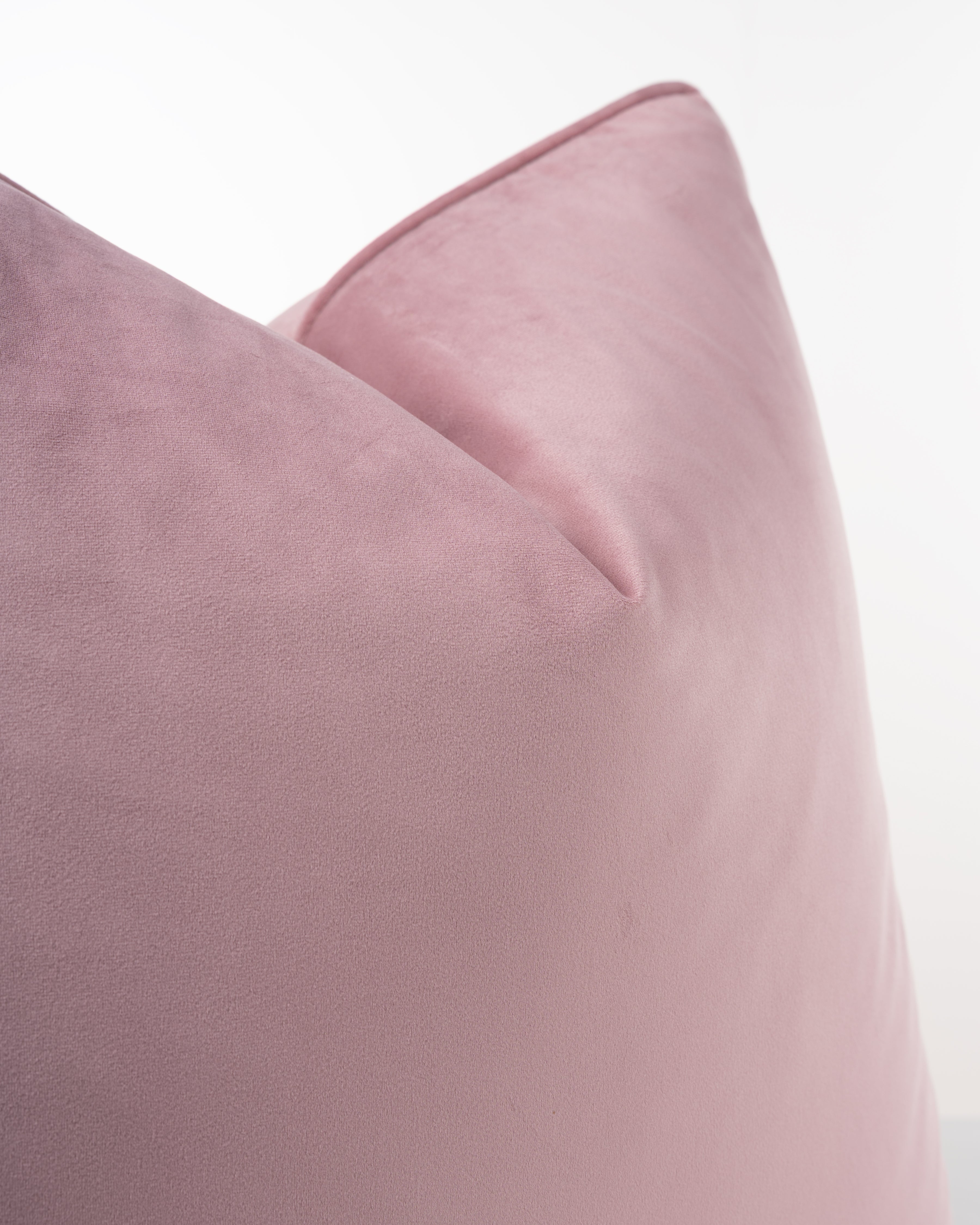Magical Rose Cushion