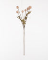 Meadow Thistle Spray | Natural