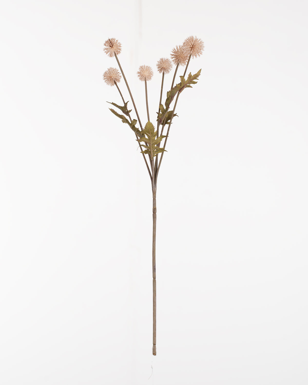Meadow Thistle Spray | Natural