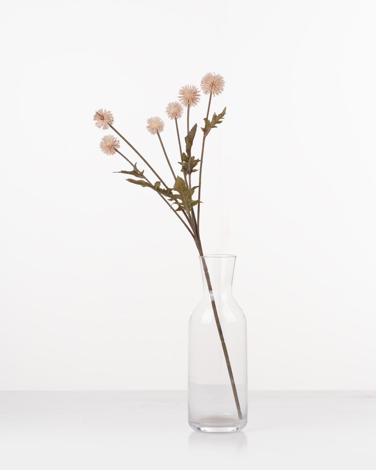 Meadow Thistle Spray | Natural