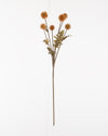 Meadow Thistle Spray | Gold