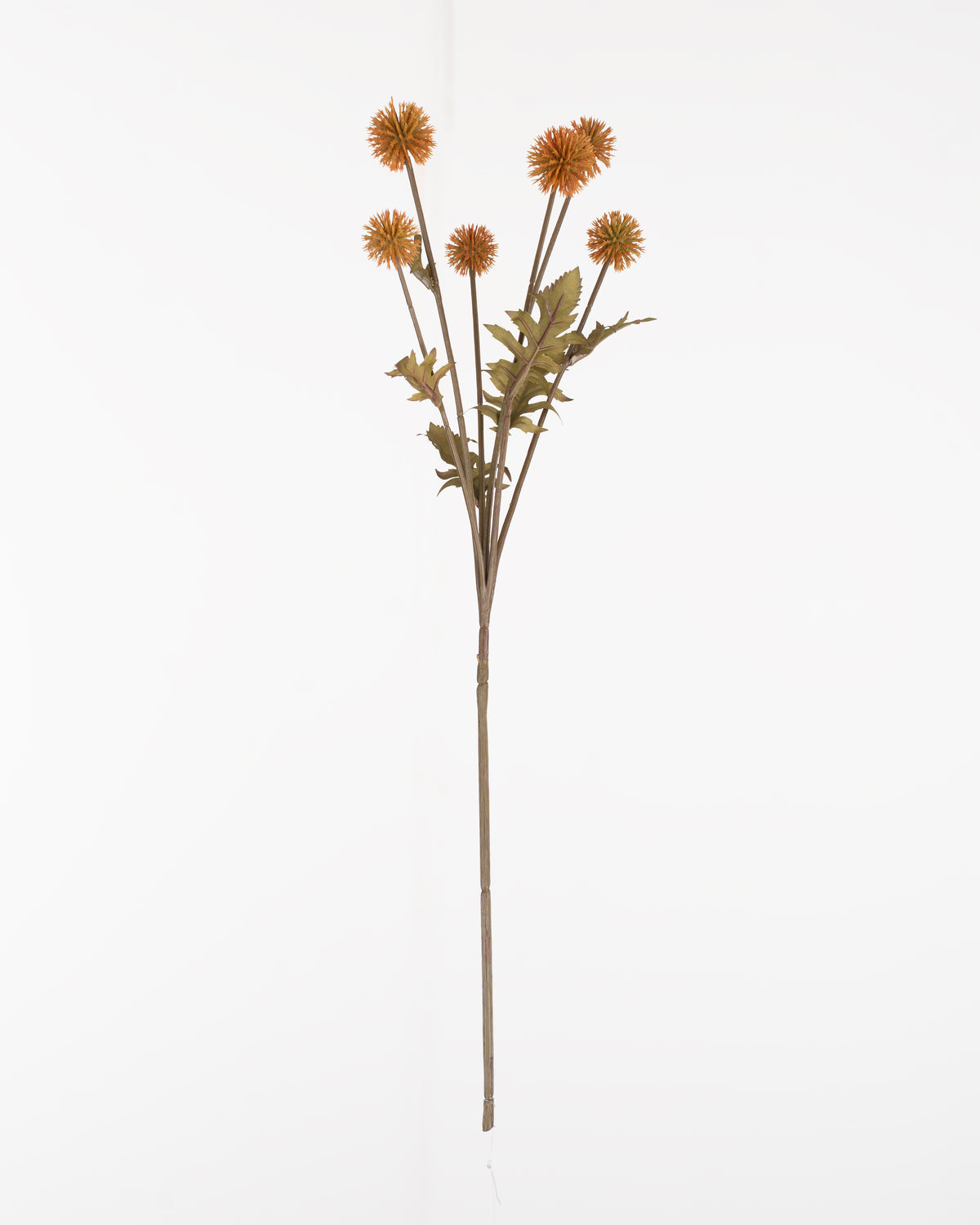 Meadow Thistle Spray | Gold