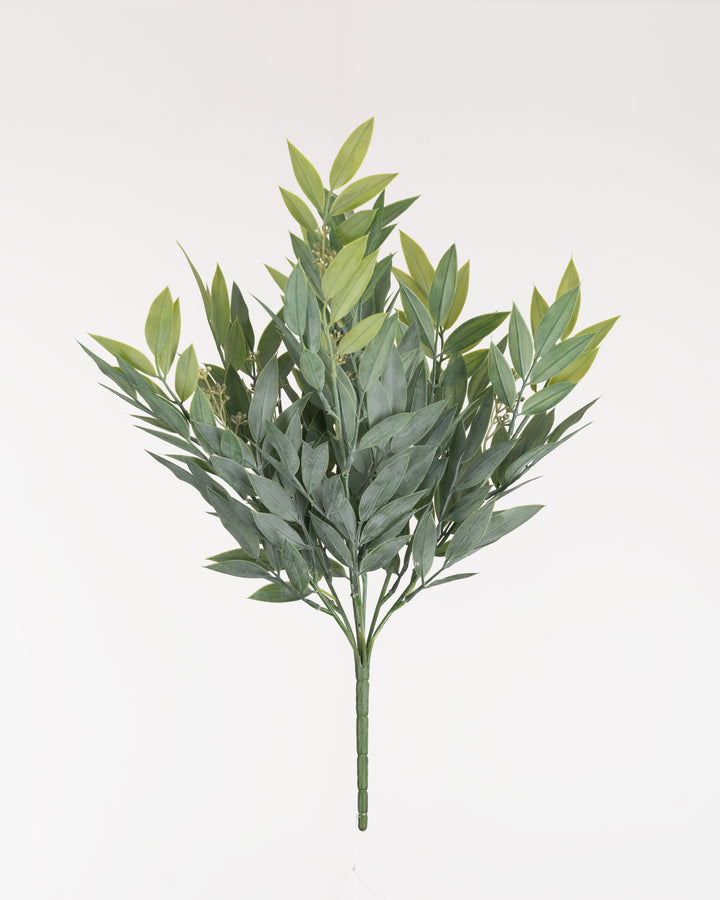Ruscus Leaf Spray
