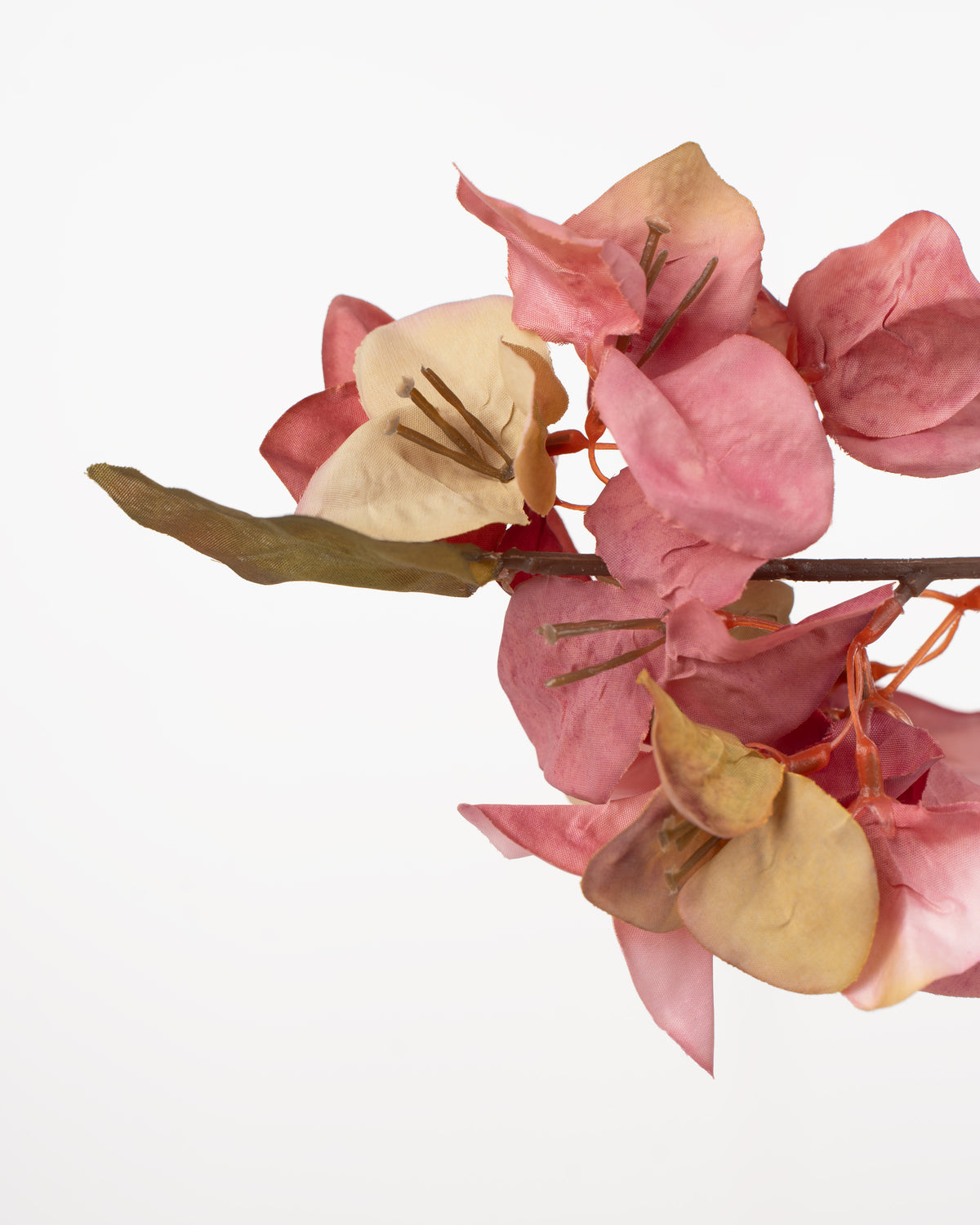 Vintage Bougainvillea Spray