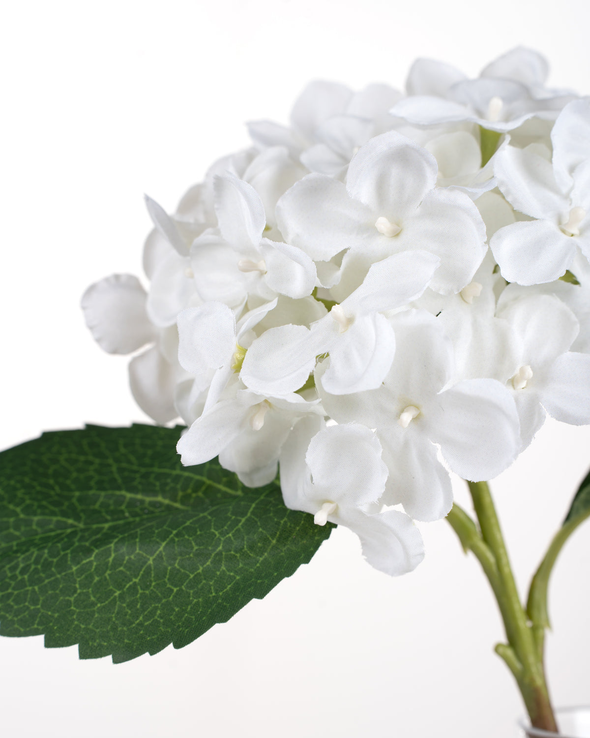 White Garden Hydrangea Spray