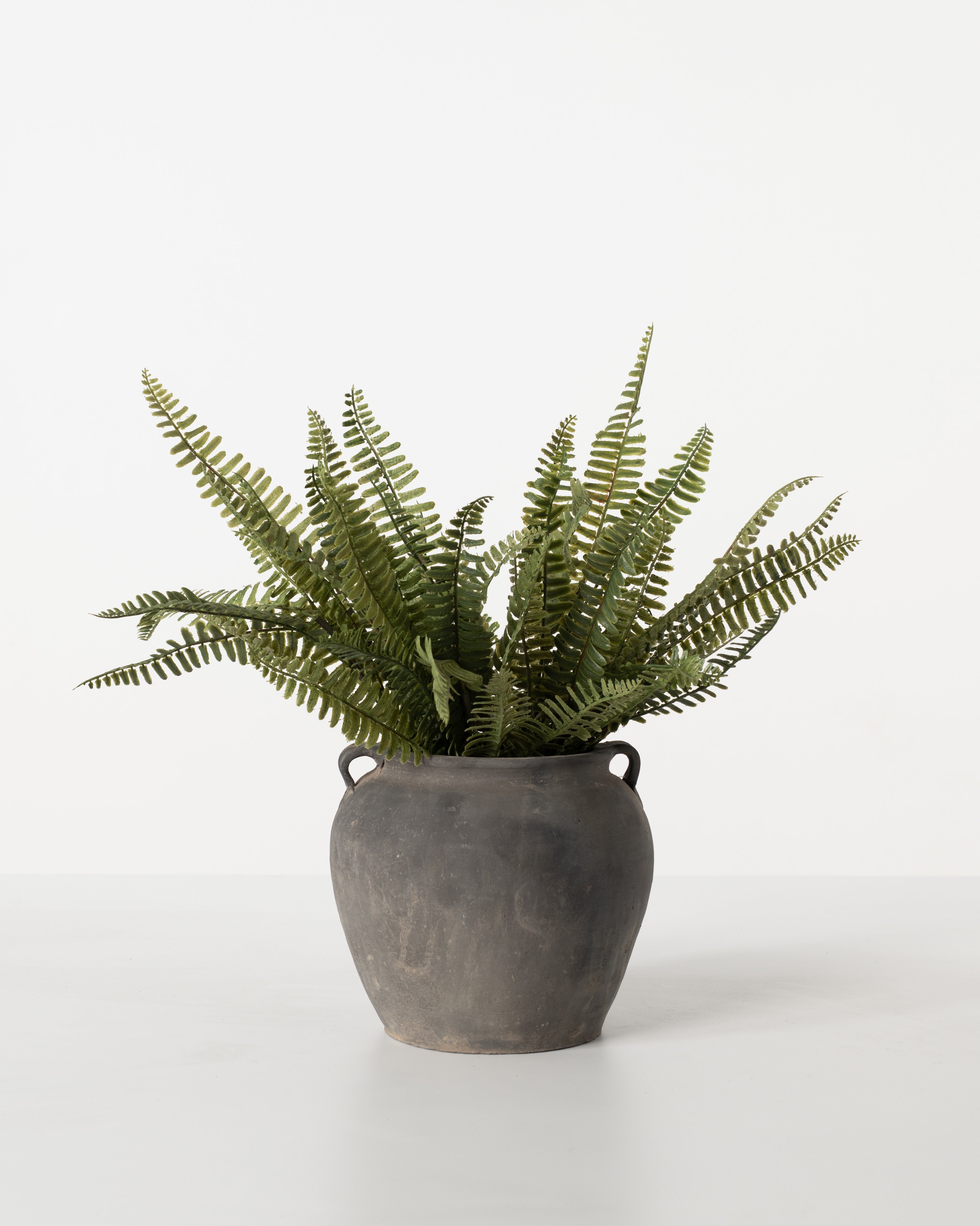 Limited Edition Terran Pot