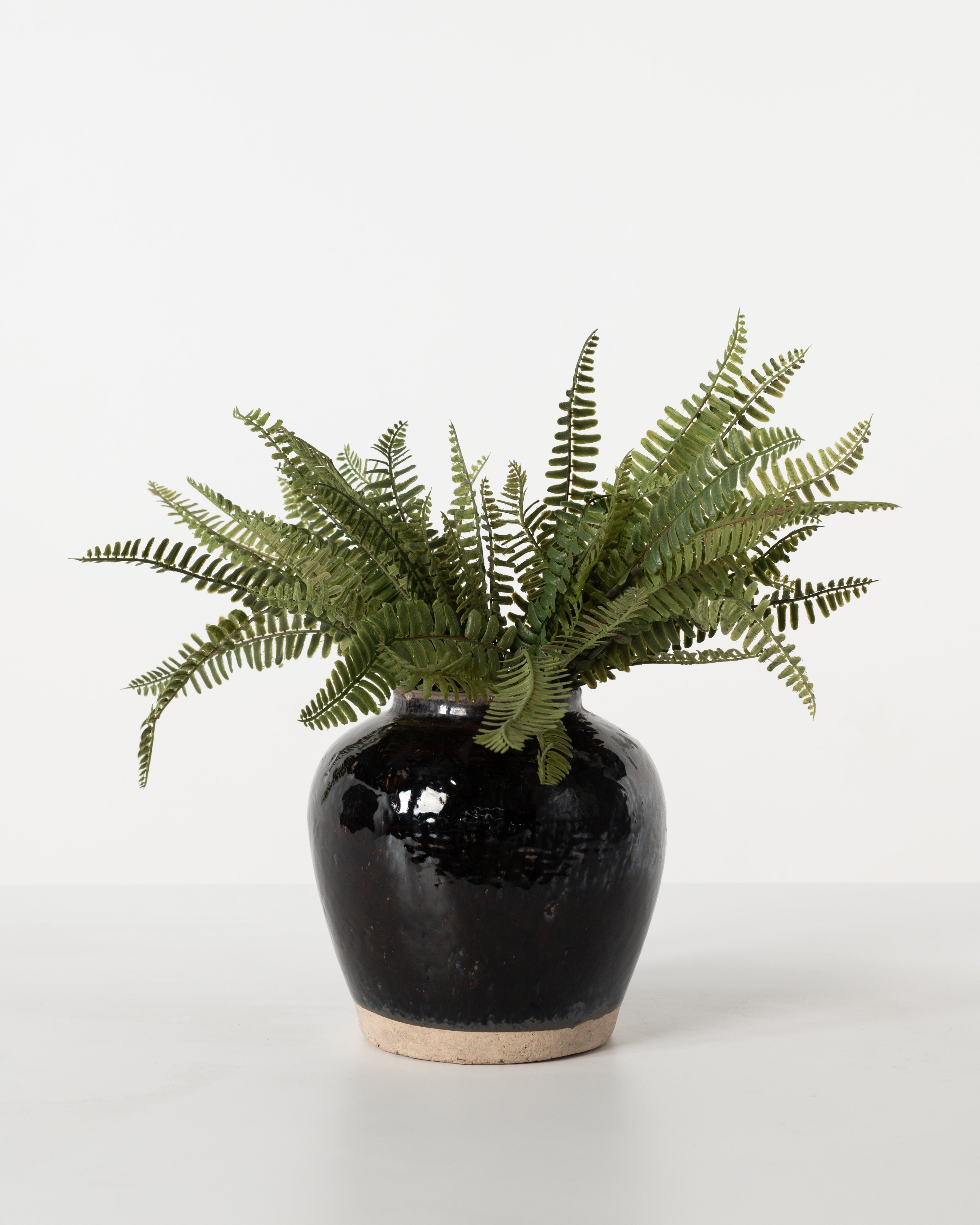 Limited Edition Evora Pot