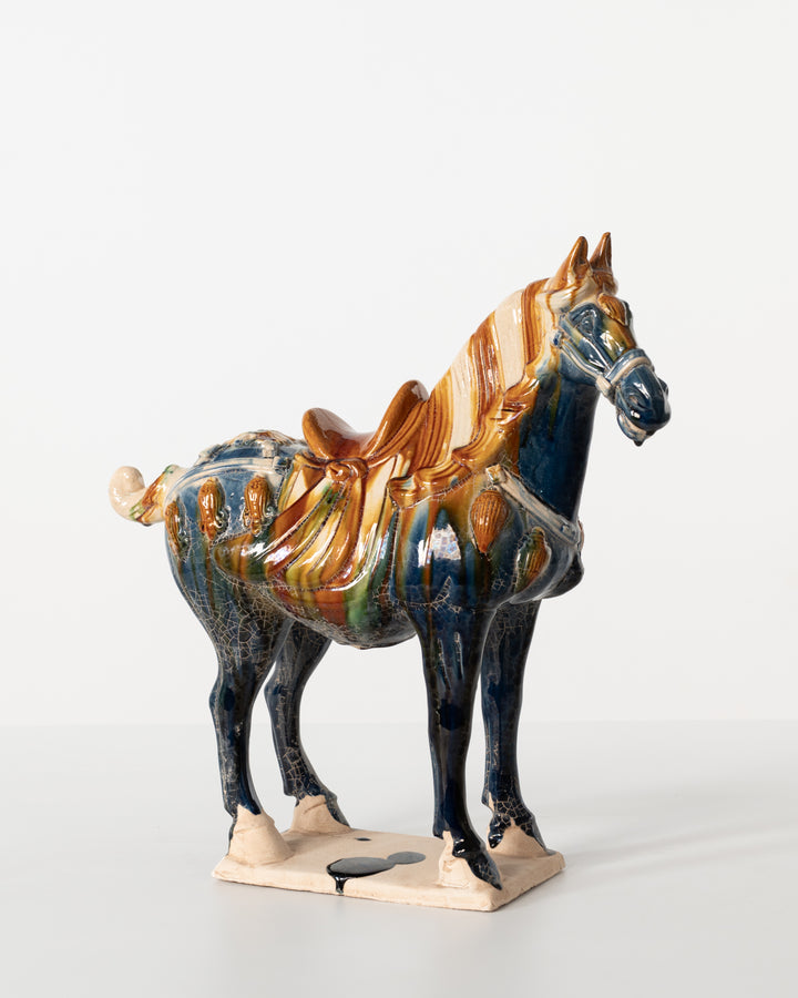 HORSE ANT MULTI COLOUR
