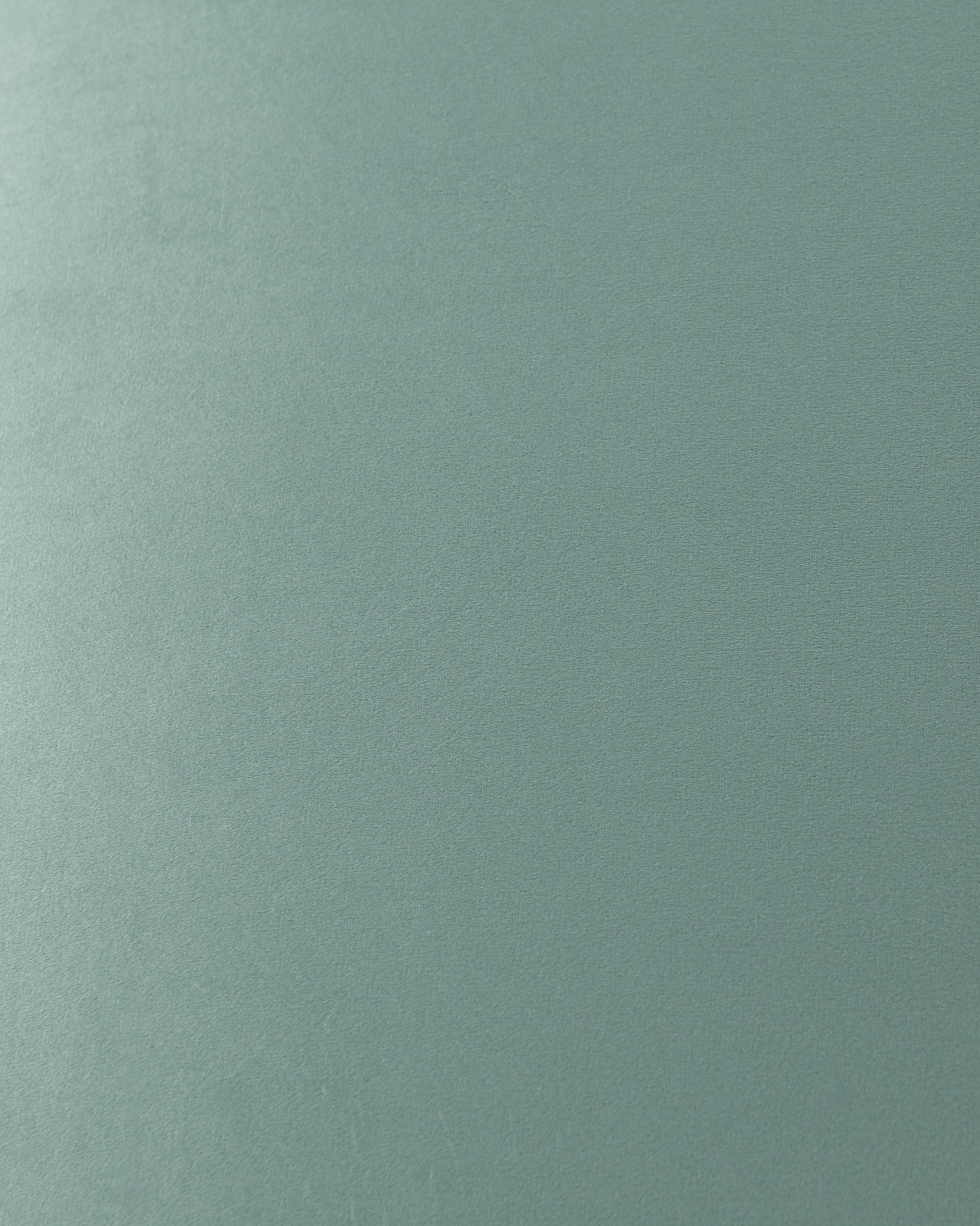 Arabel Daybed | Sage velvet