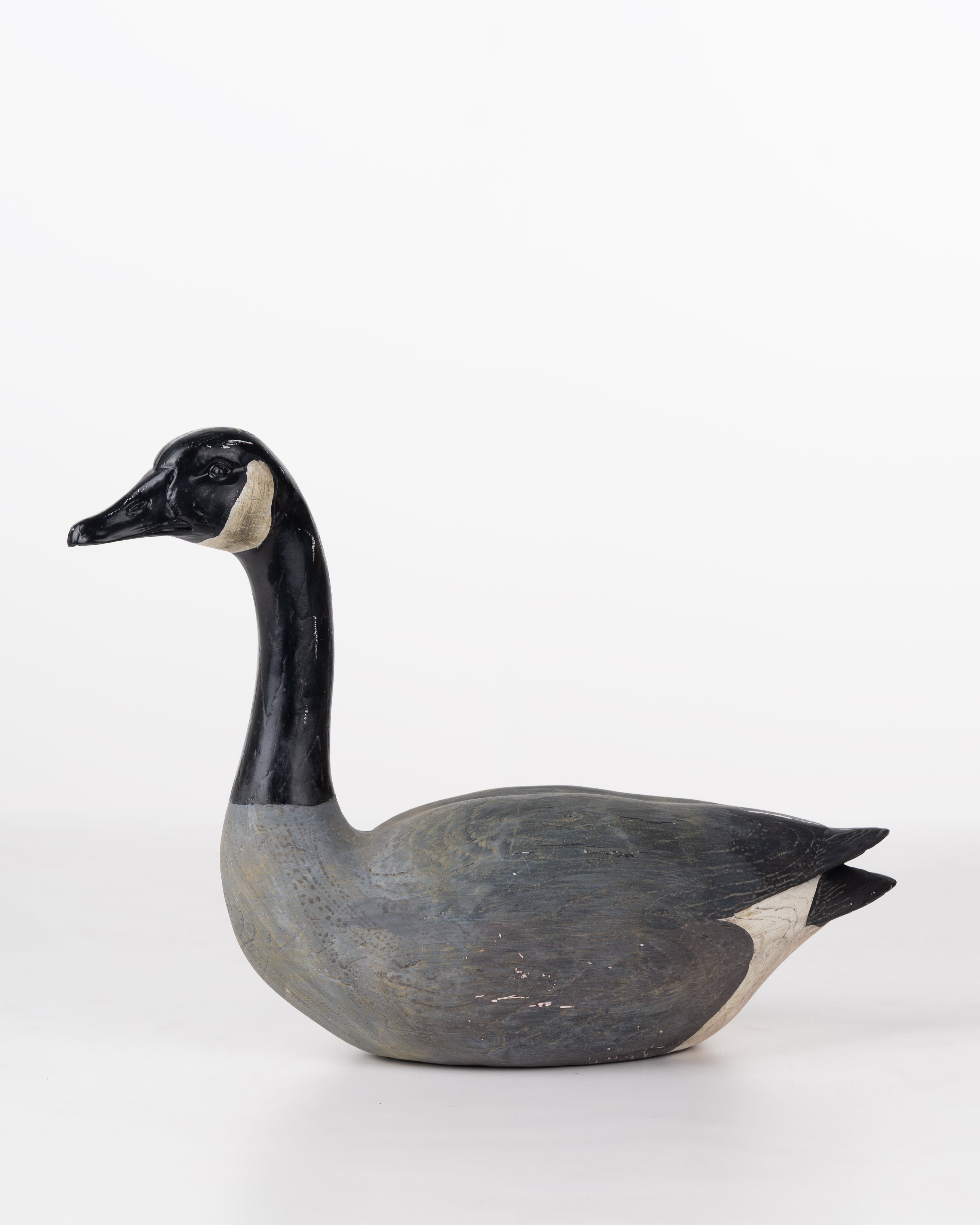 SWAN BLACK&GREY