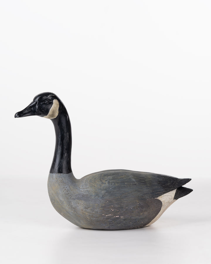 SWAN BLACK&GREY
