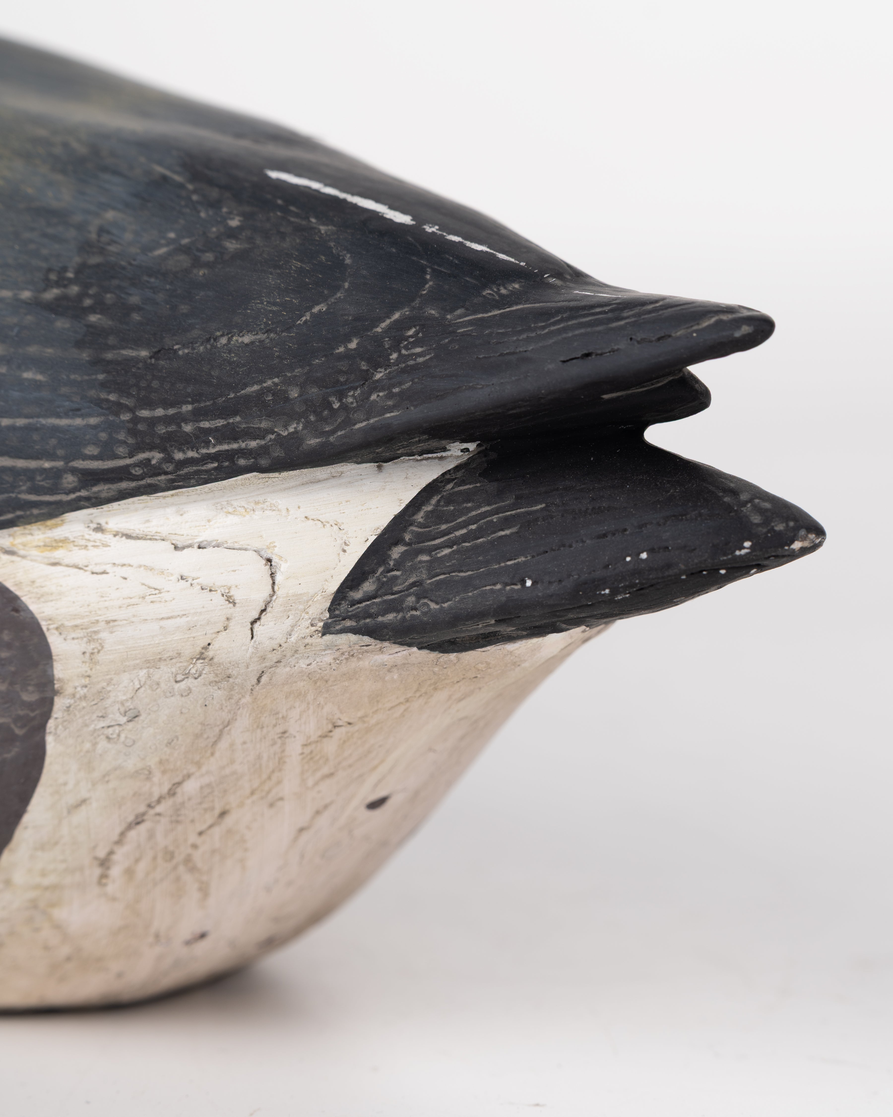 SWAN BLACK&GREY