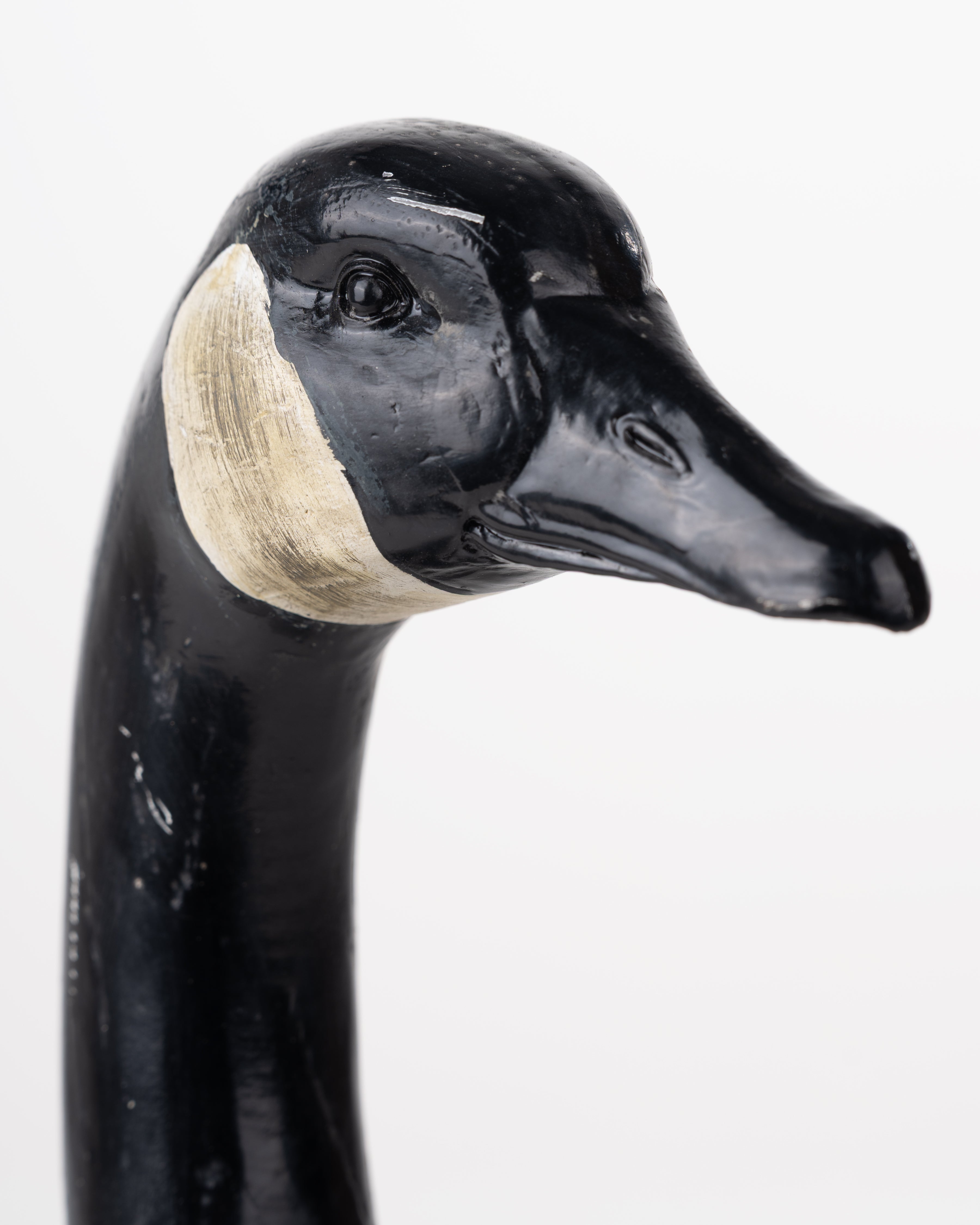 SWAN BLACK&GREY