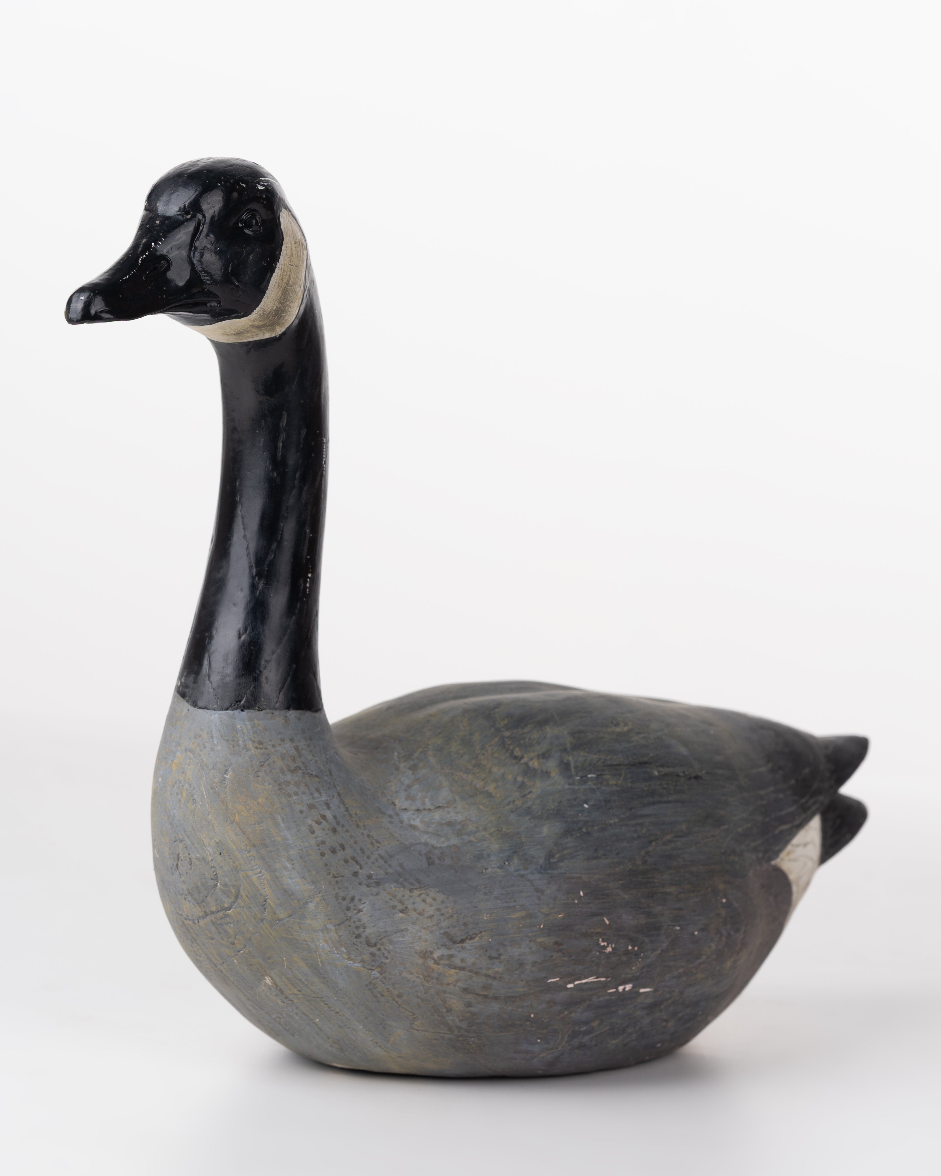 SWAN BLACK&GREY