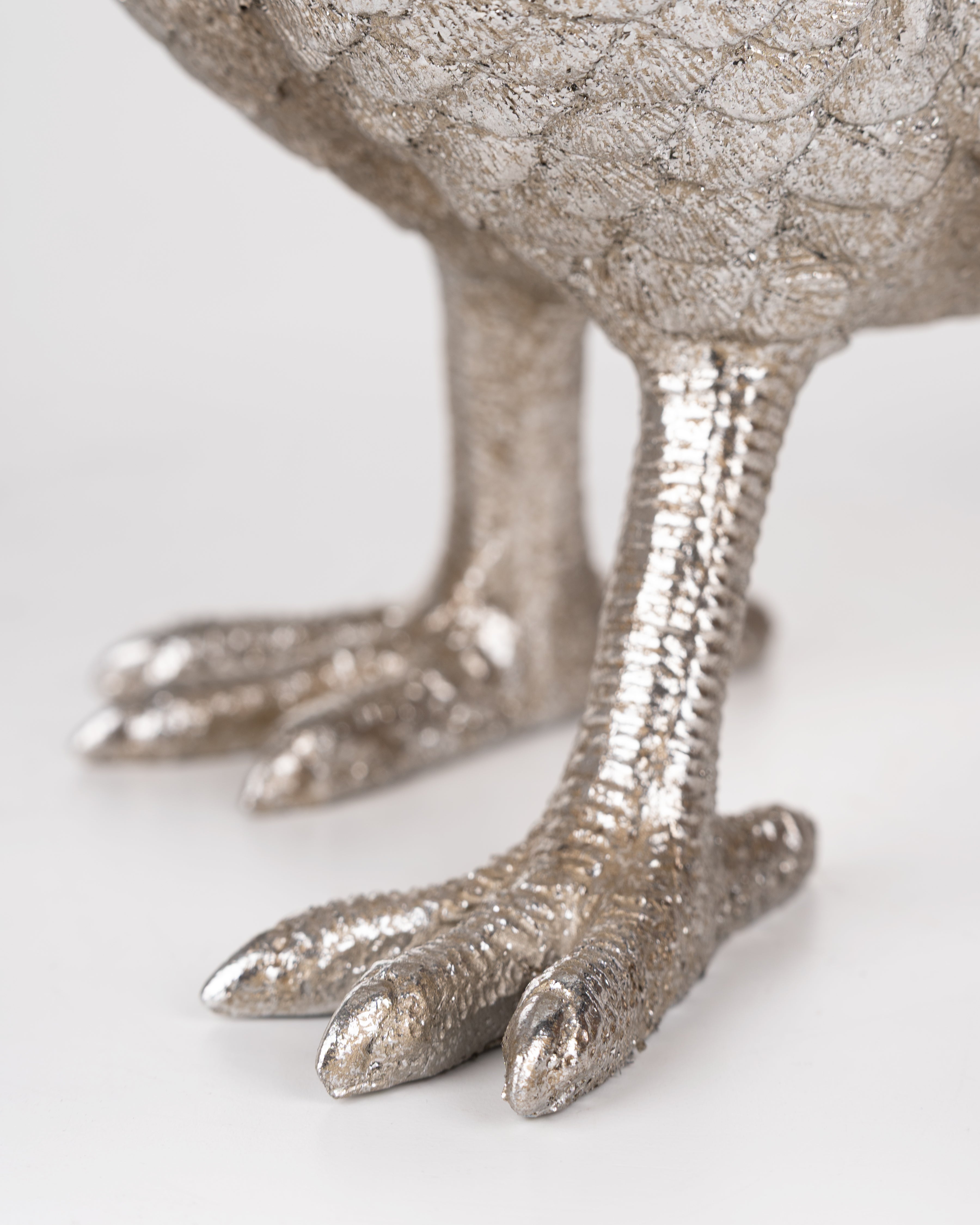 Silver Feather Pheasant