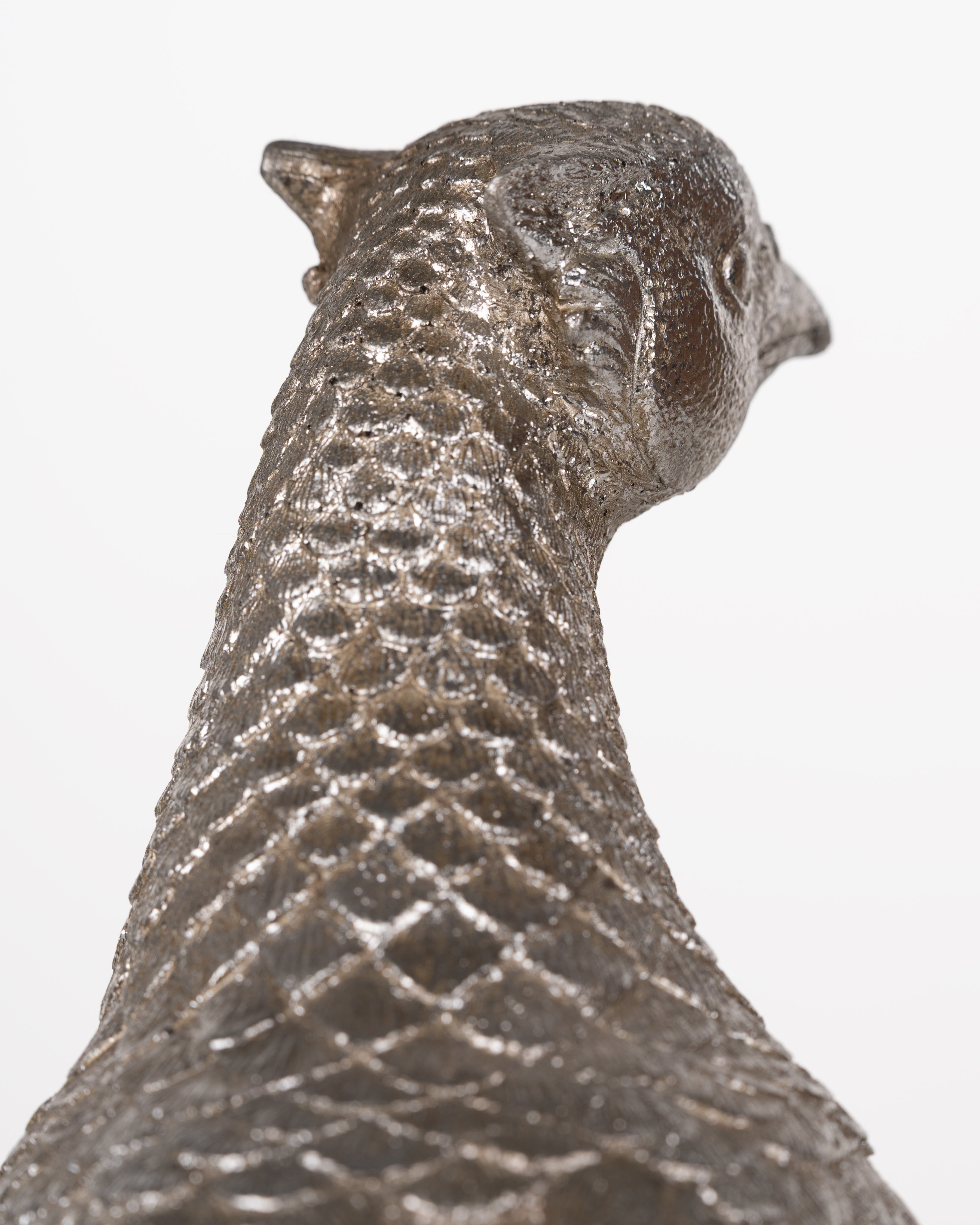Silver Feather Pheasant
