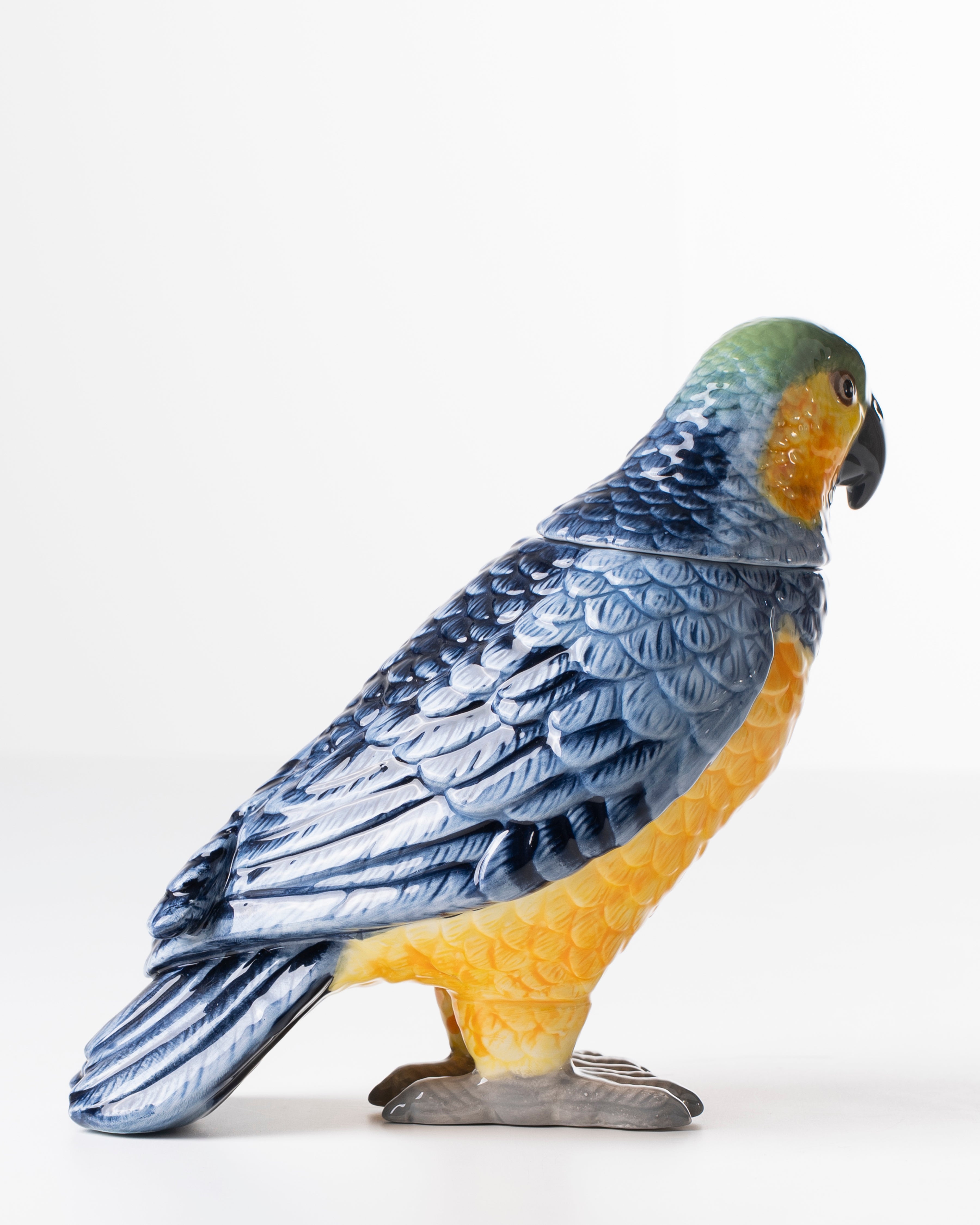 Ceramic Parrot