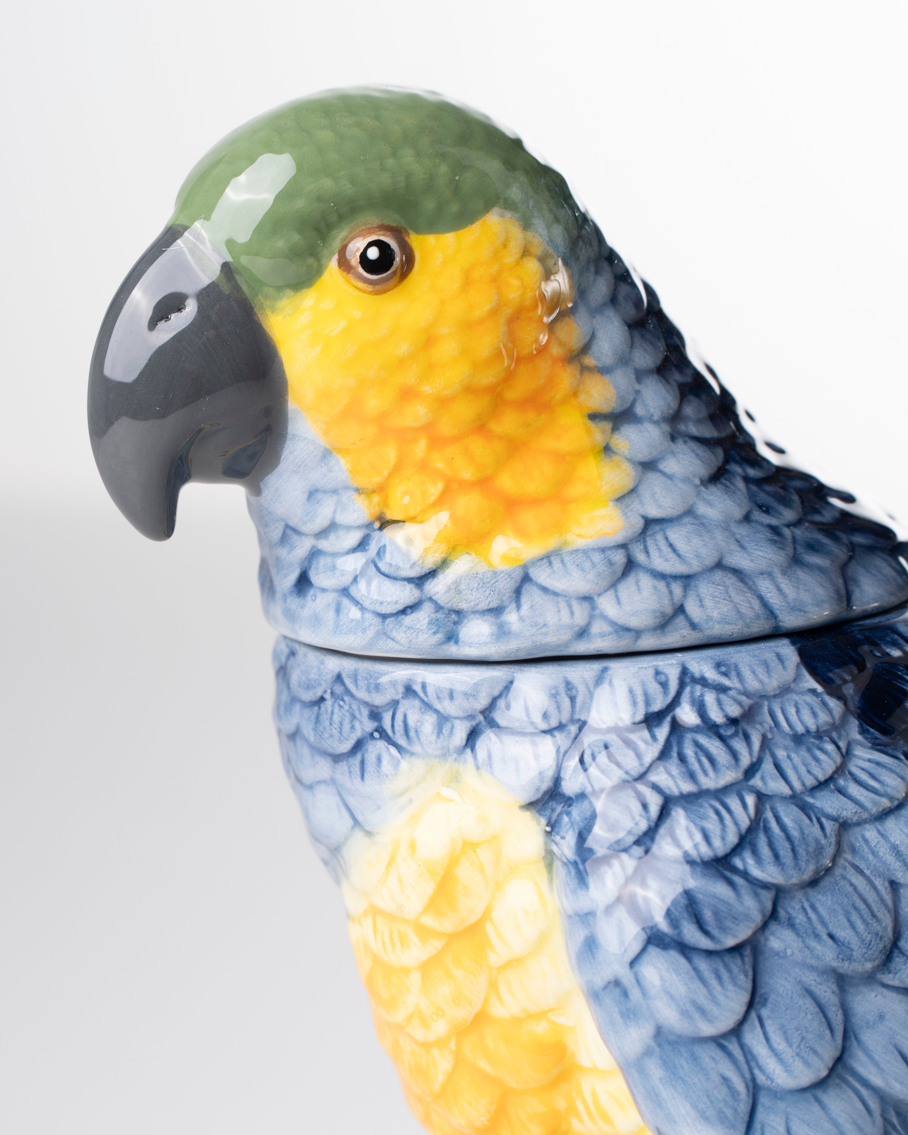 Ceramic Parrot