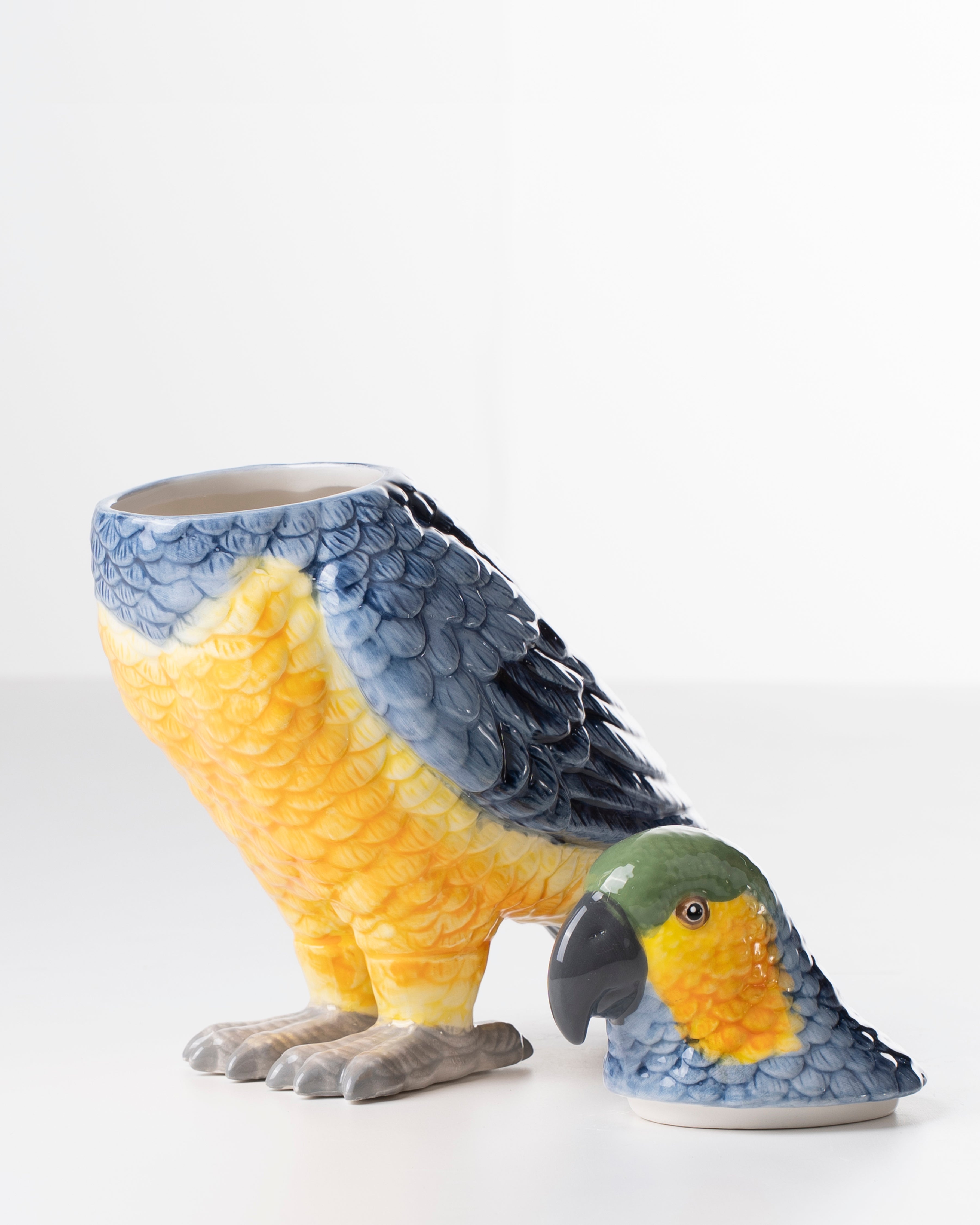 Ceramic Parrot