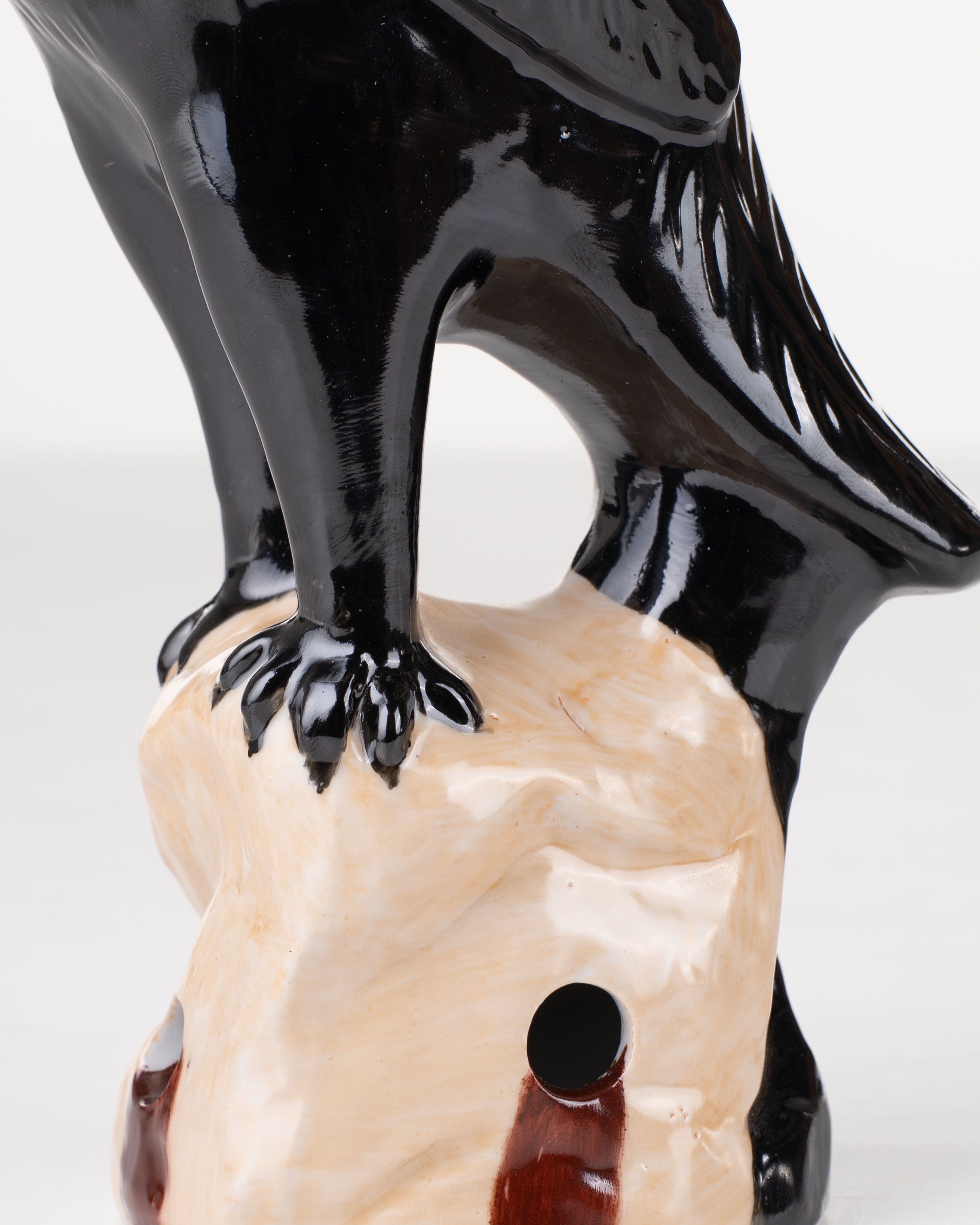 Black Ceramic Parrot