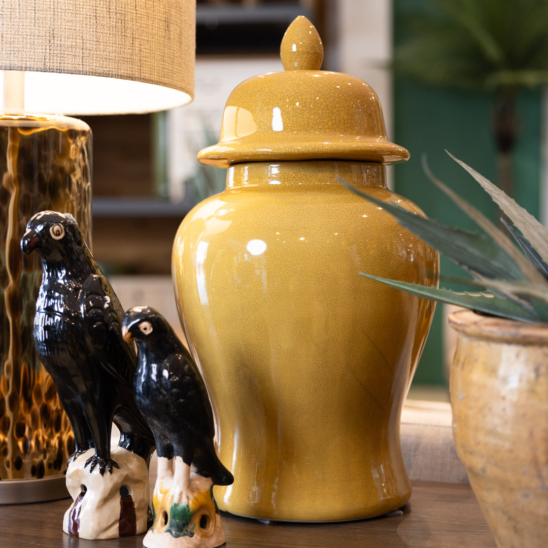Black Ceramic Parrot