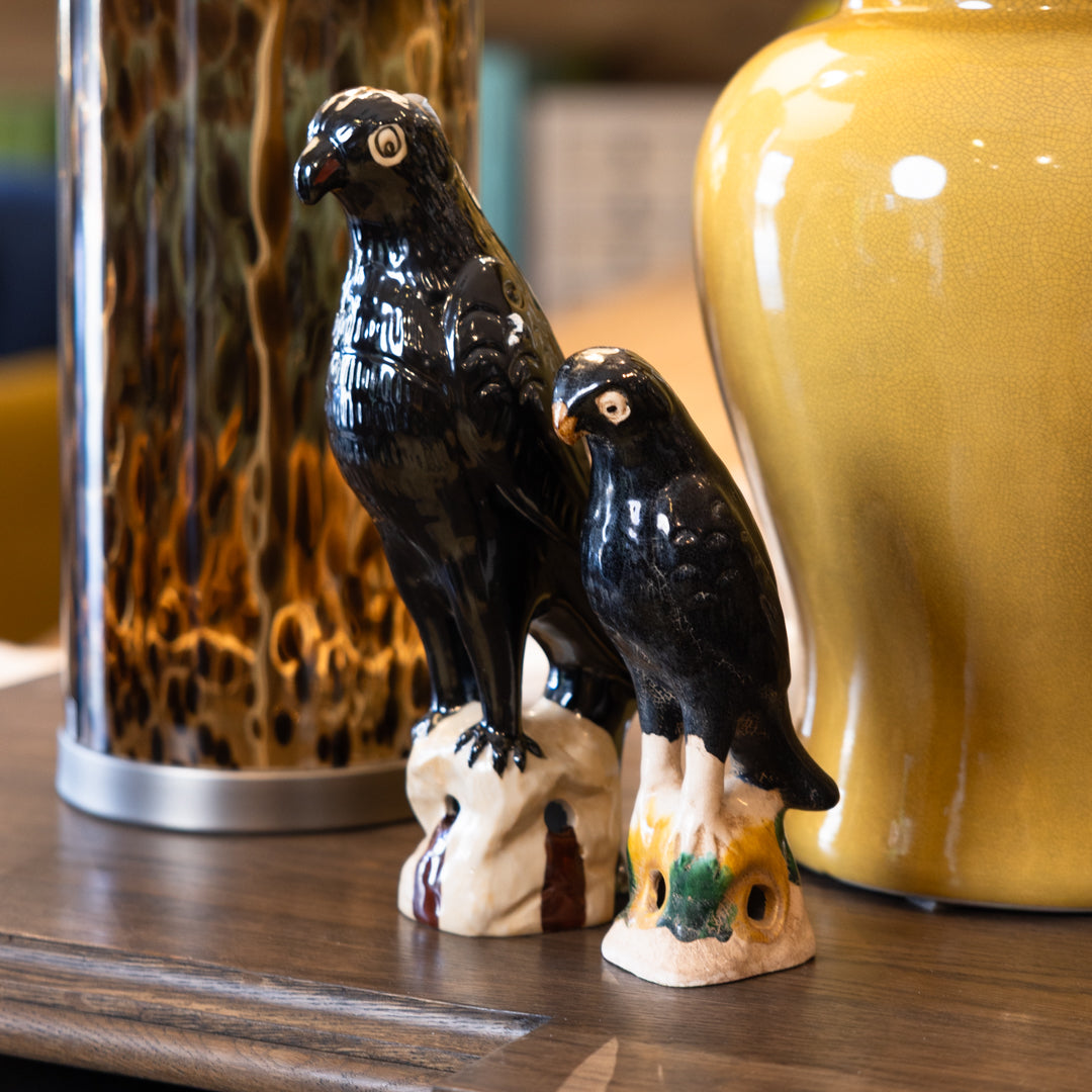Black Ceramic Parrot