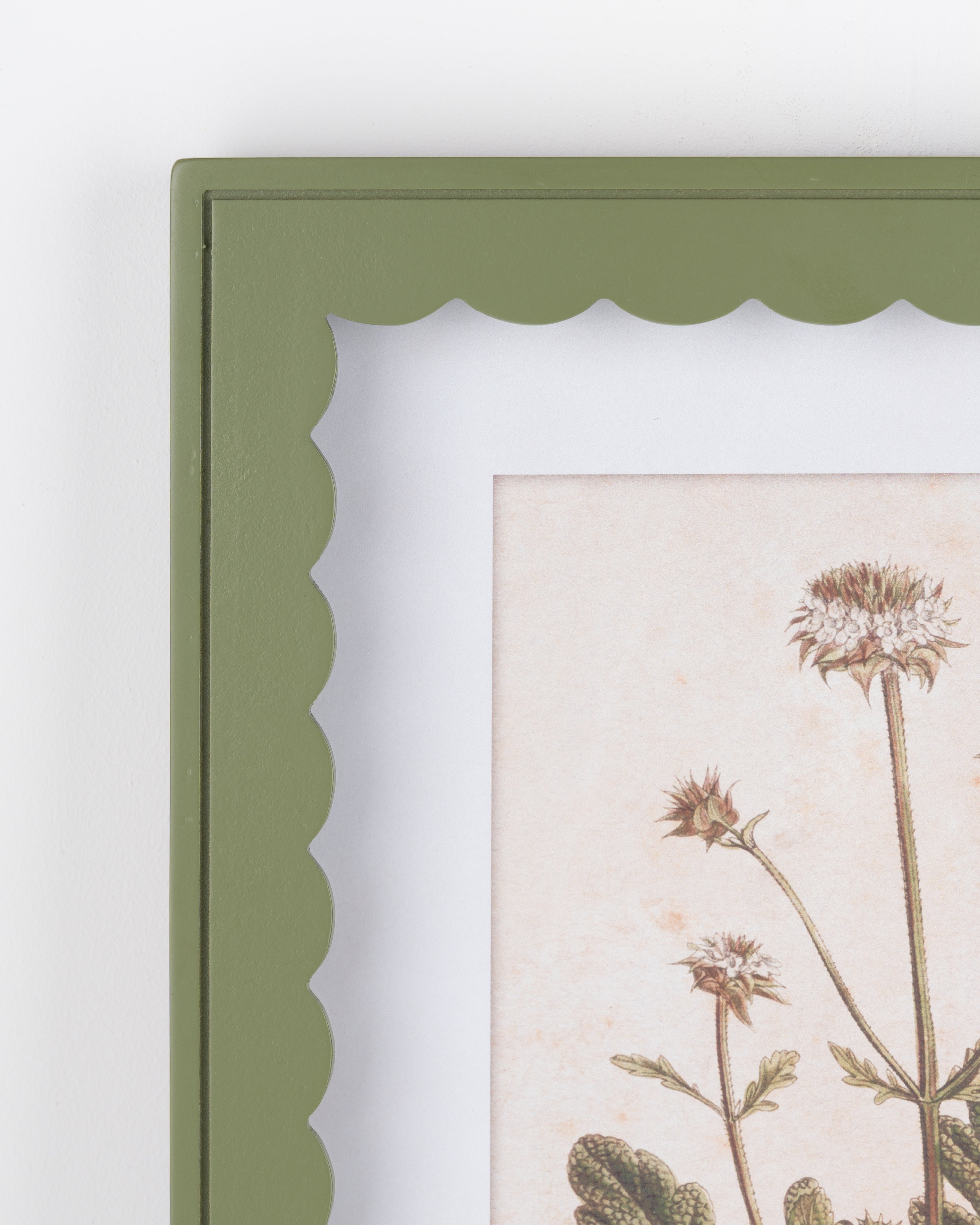 Scalloped Botanical Wall Art