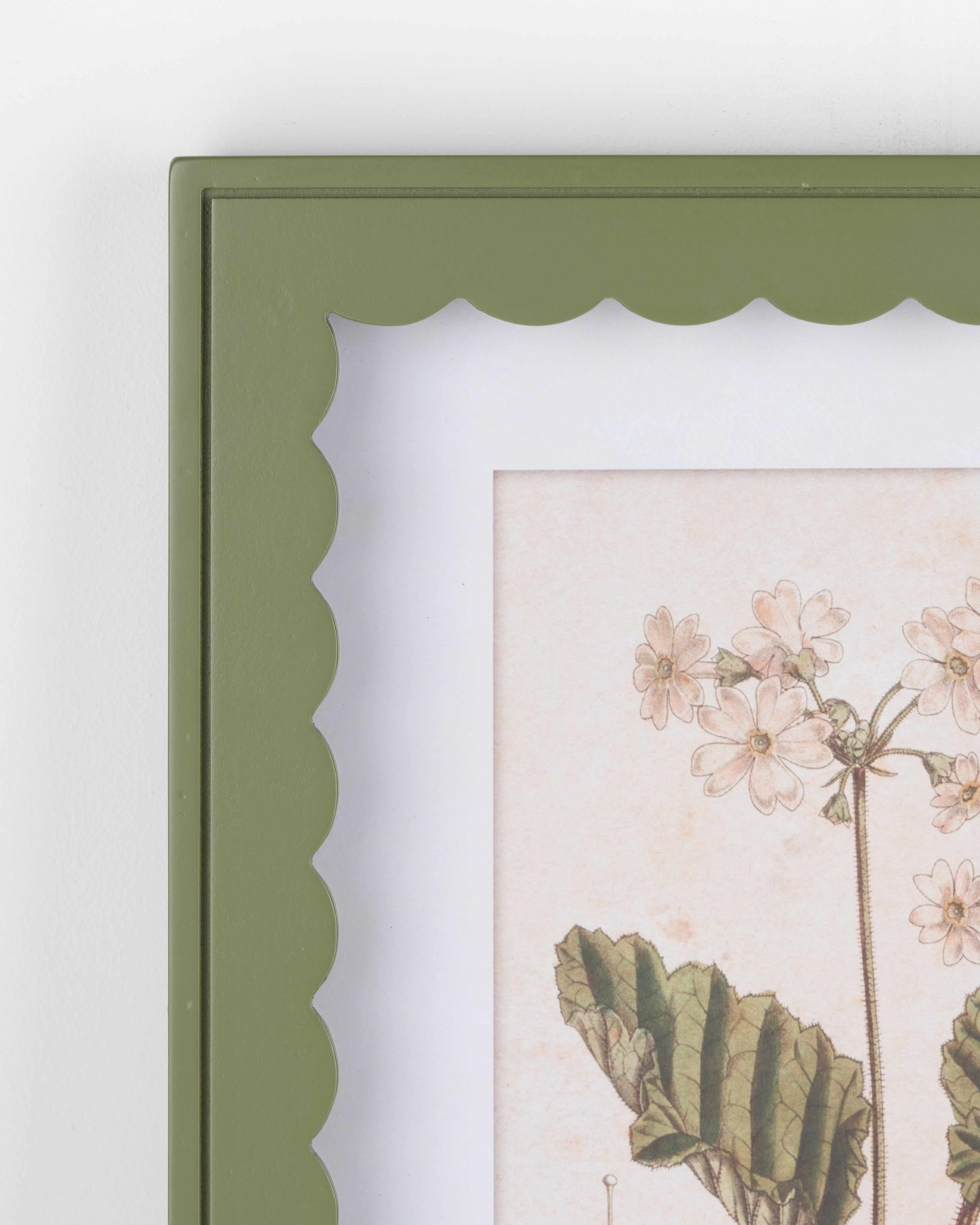 Scalloped Botanical Wall Art