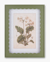 Scalloped Botanical Wall Art