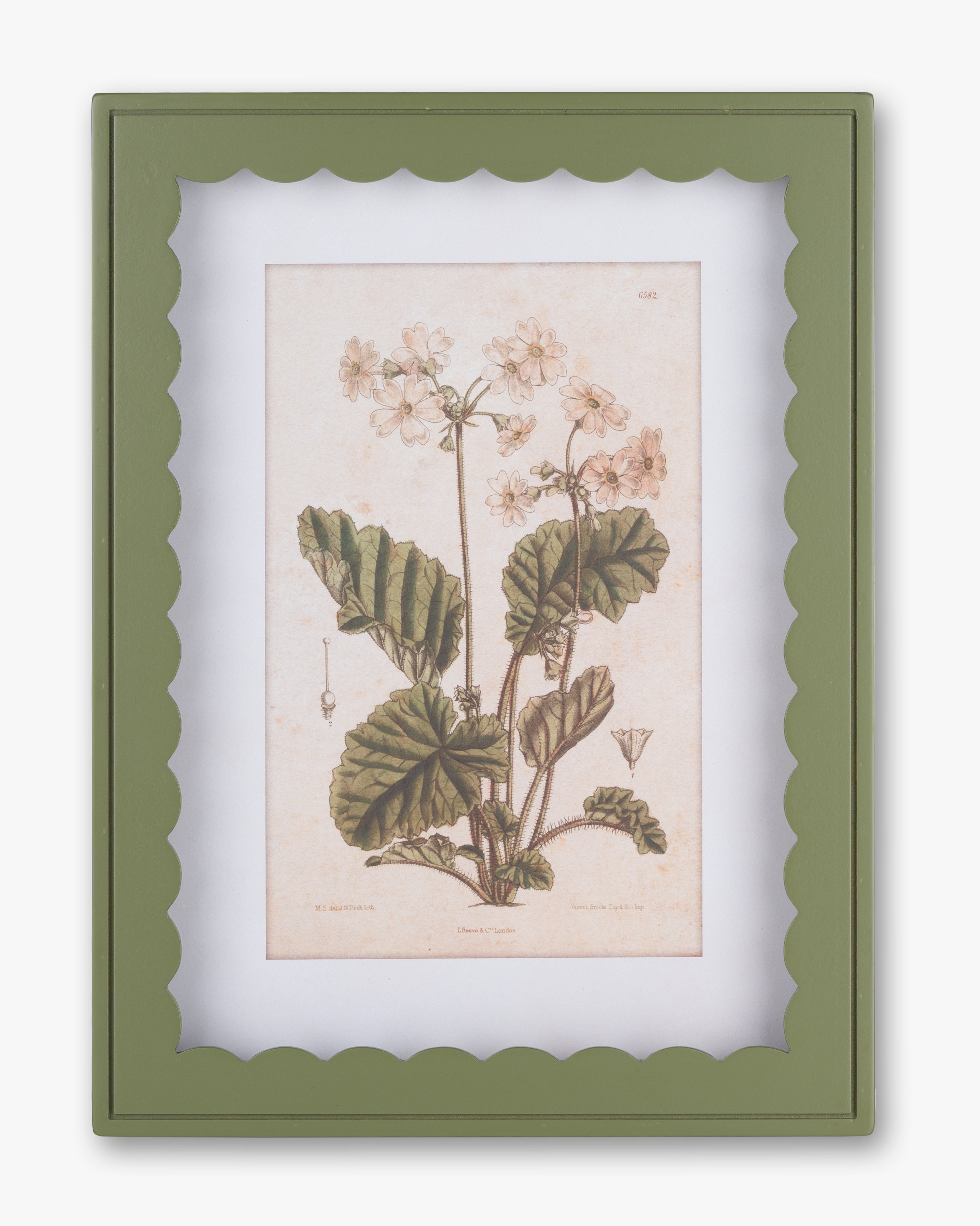Scalloped Botanical Wall Art