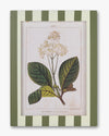 Stripe Botanical Wall Art