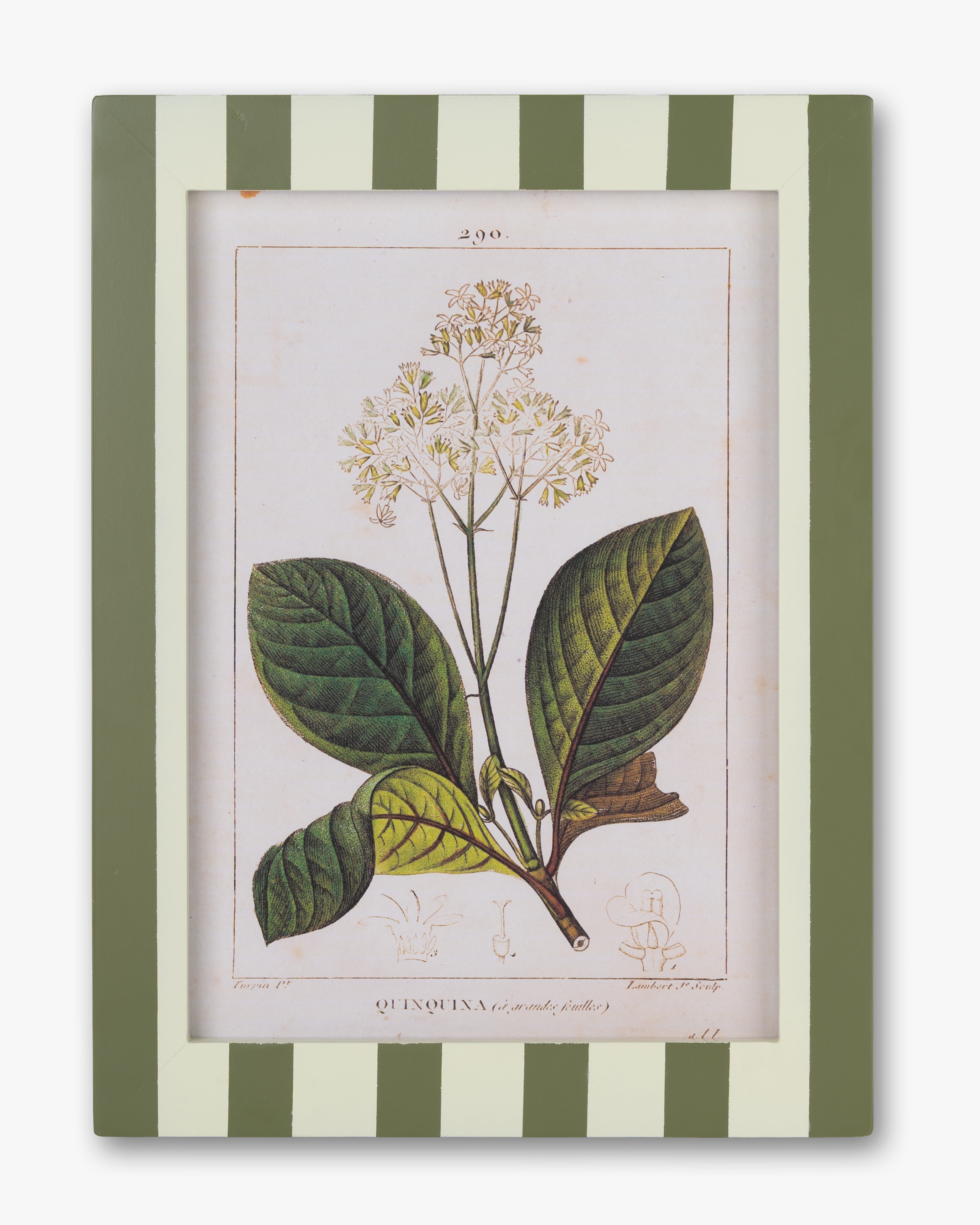 Stripe Botanical Wall Art