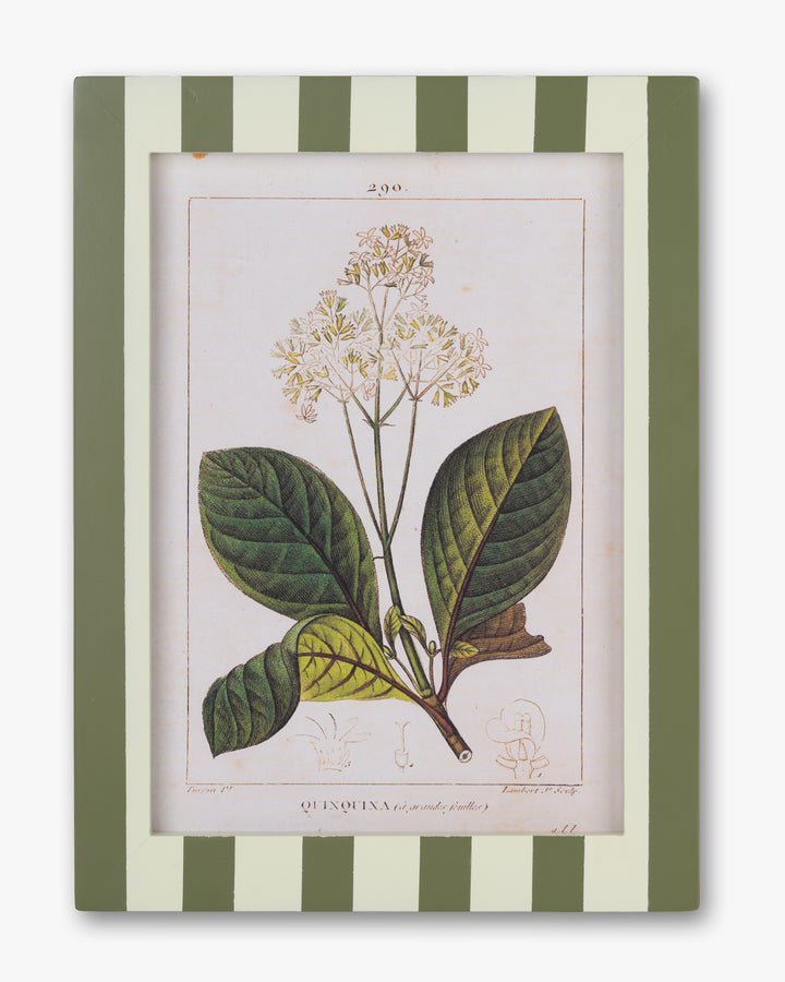 Stripe Botanical Wall Art