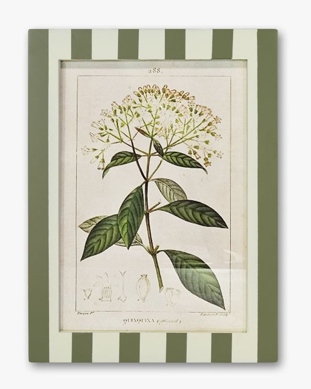 Stripe Botanical Wall Art