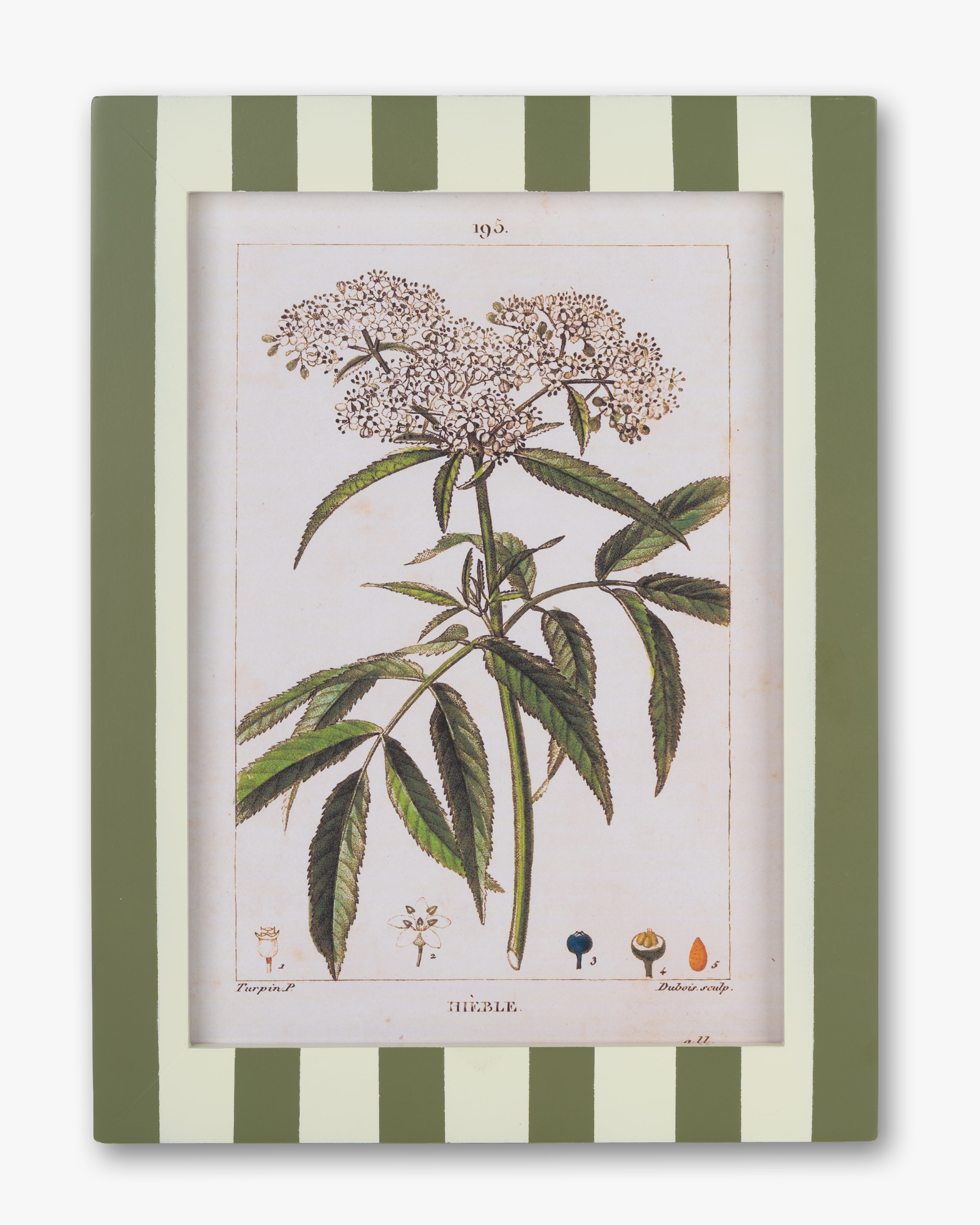 Stripe Botanical Wall Art
