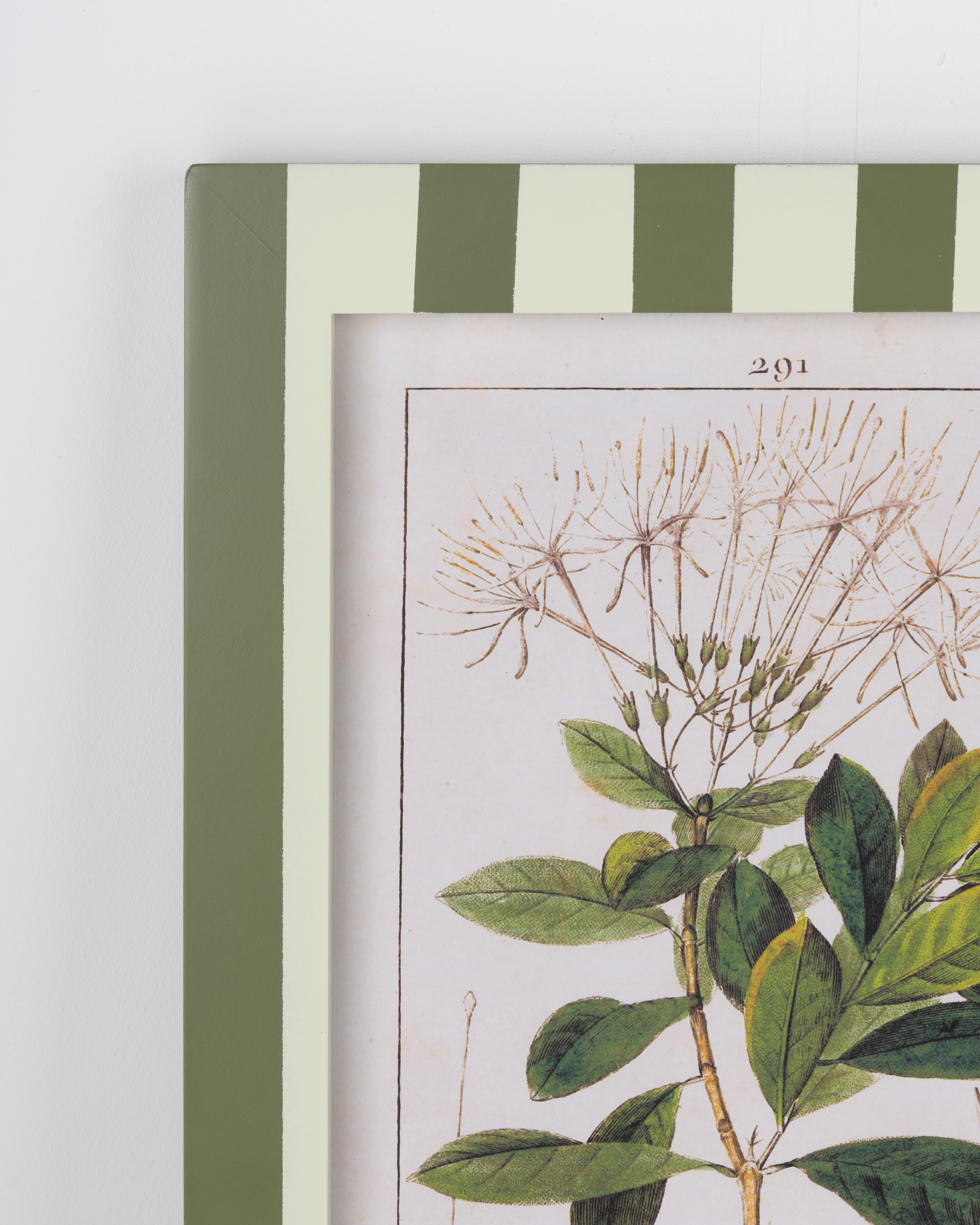 Stripe Botanical Wall Art