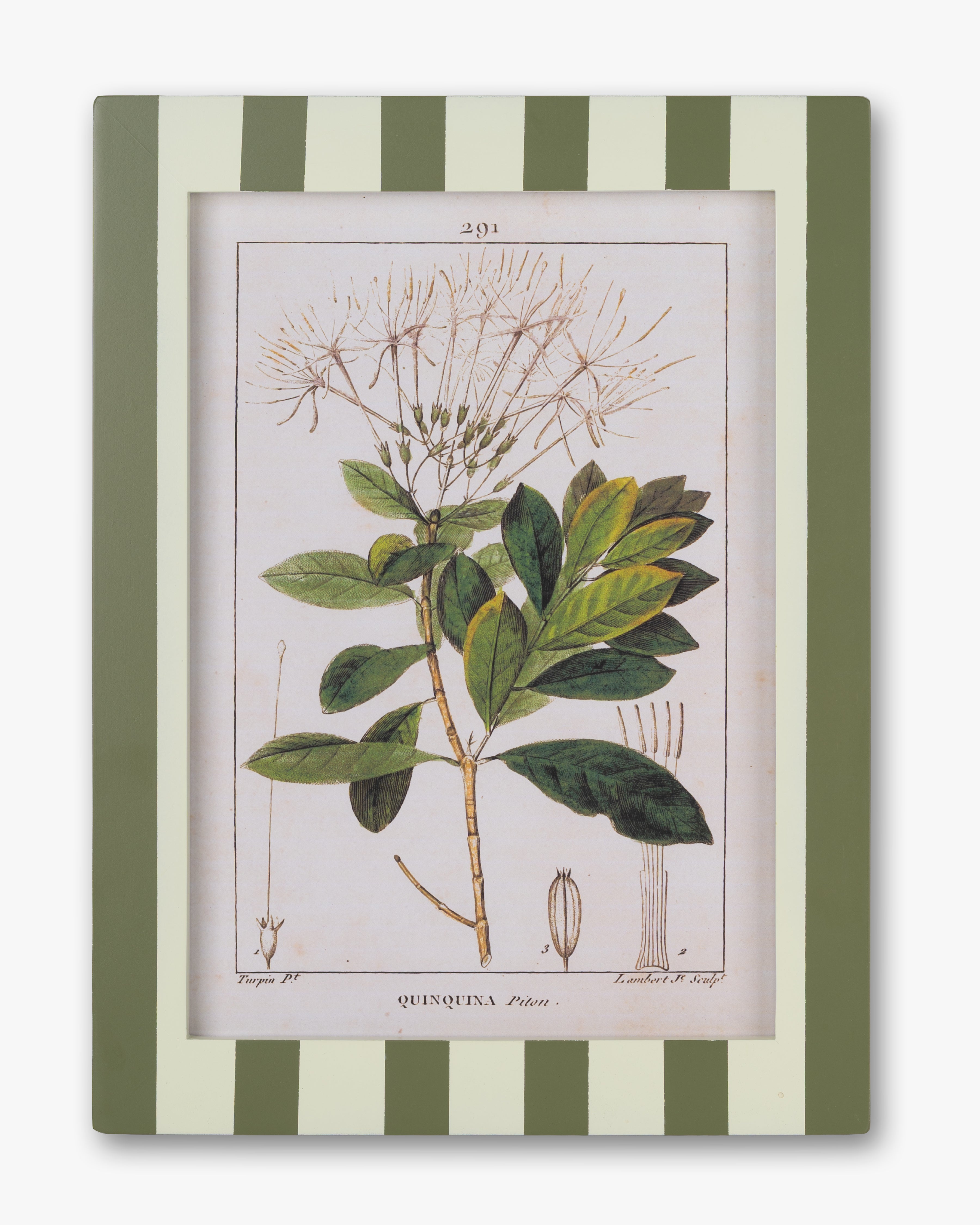 Stripe Botanical Wall Art