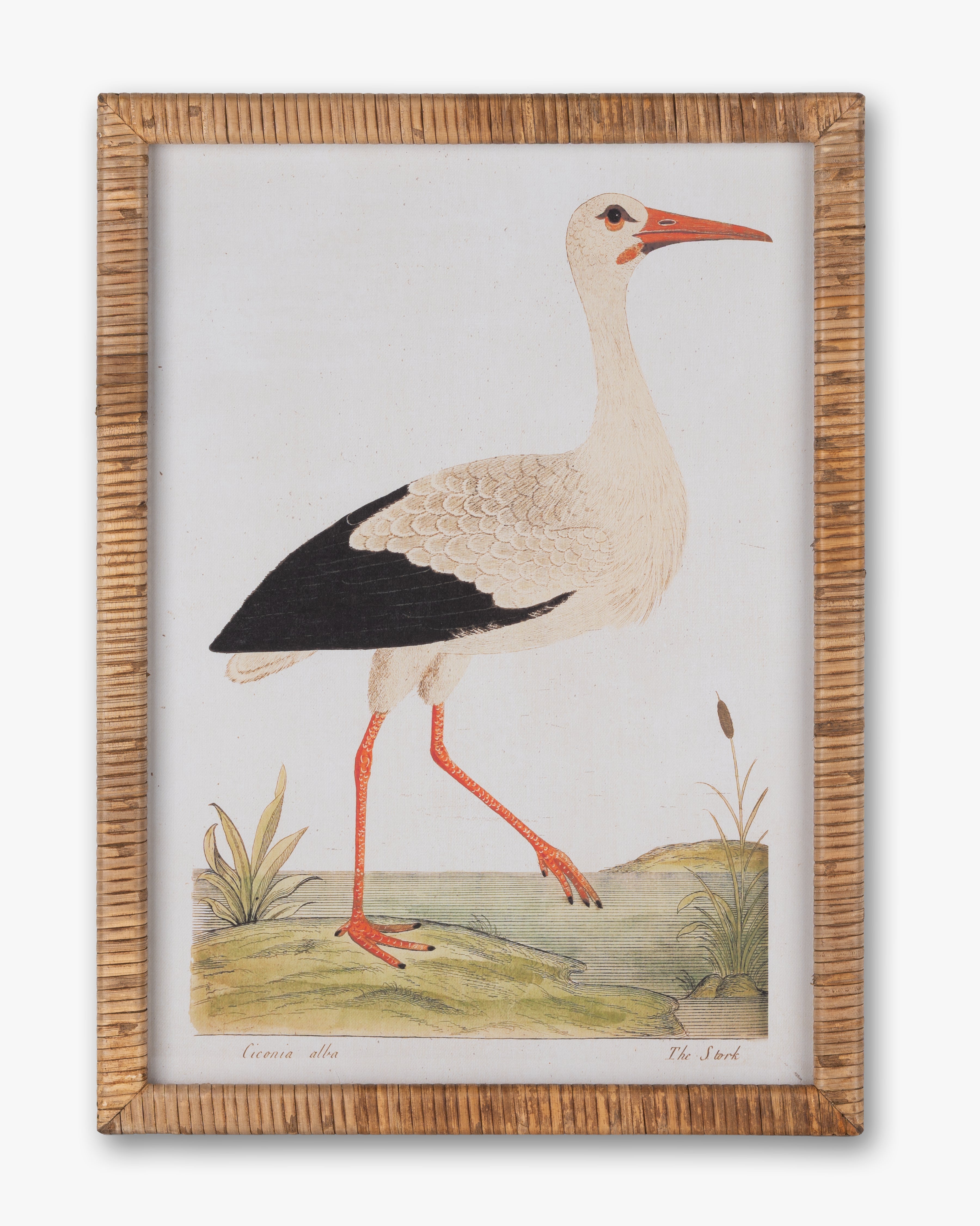 Stork Wall Art