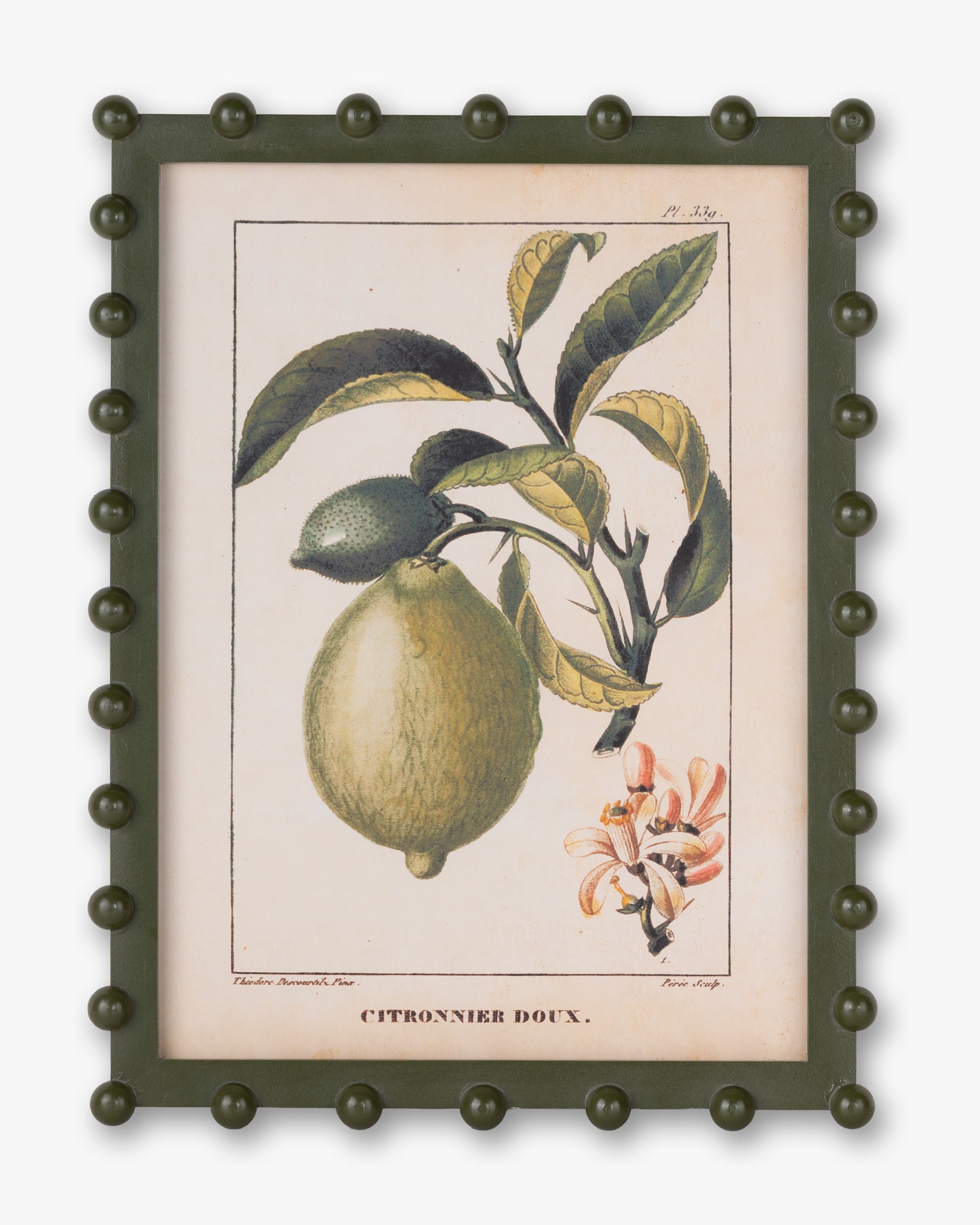 Bobble Fruit Wall Art