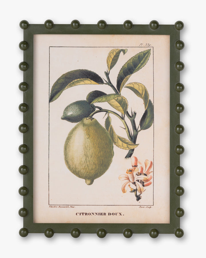 Bobble Fruit Wall Art