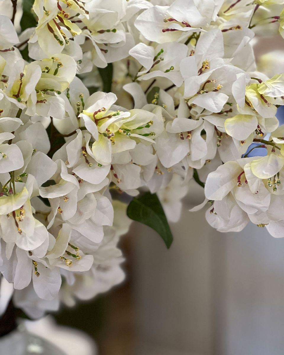 Bougainvillea Spray | White