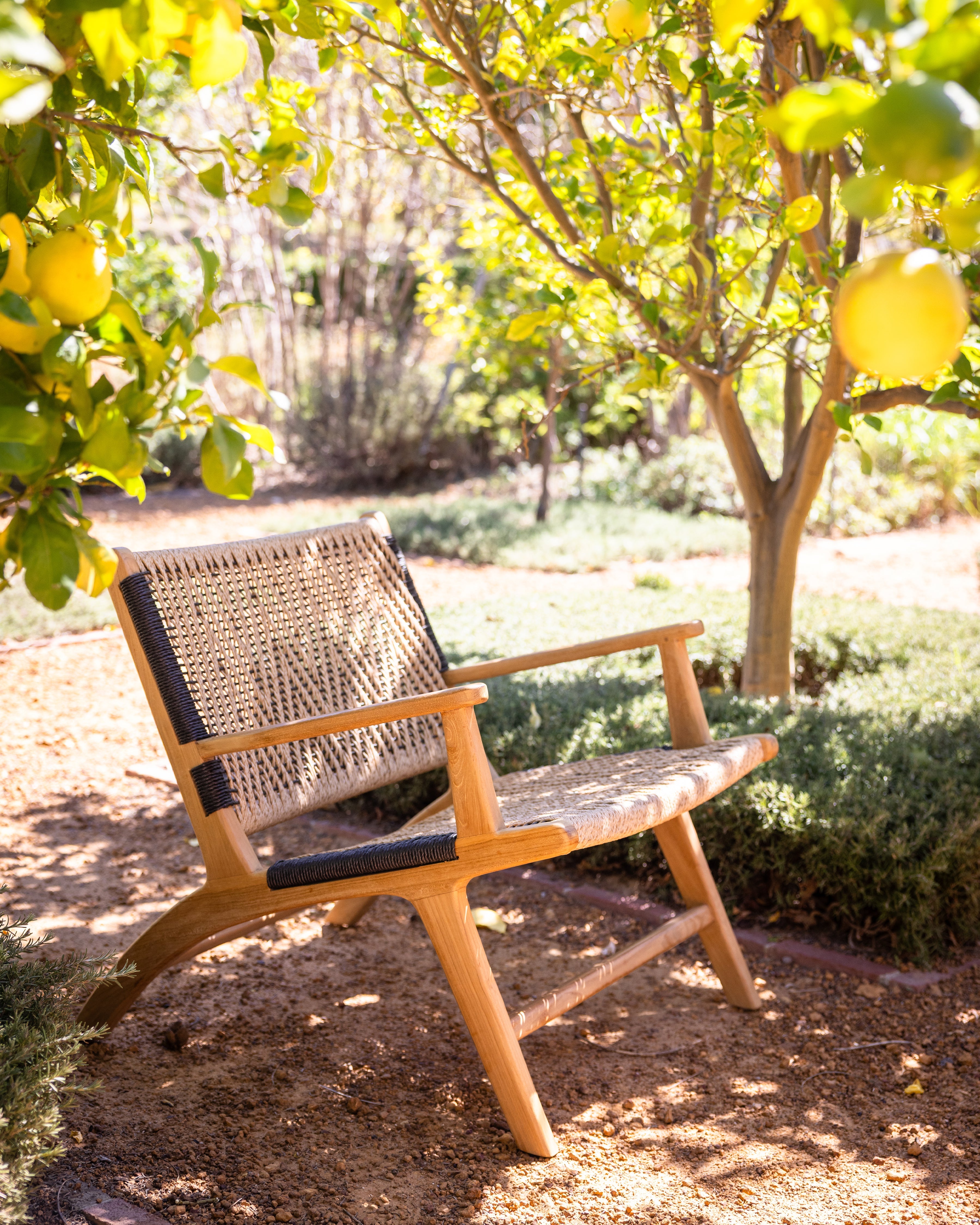 Resort Jamaica Lounge Chair