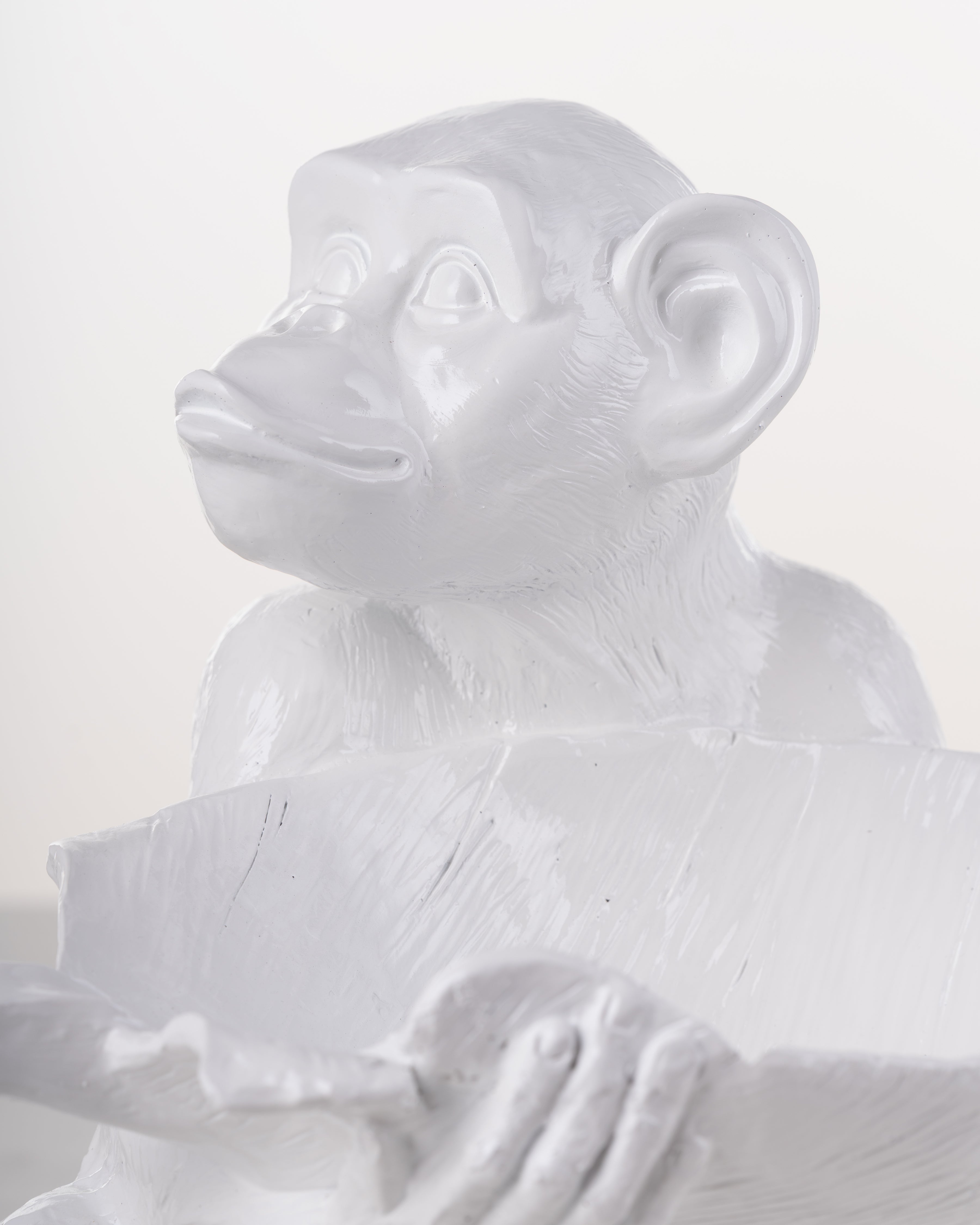 Monkey Bowl | White