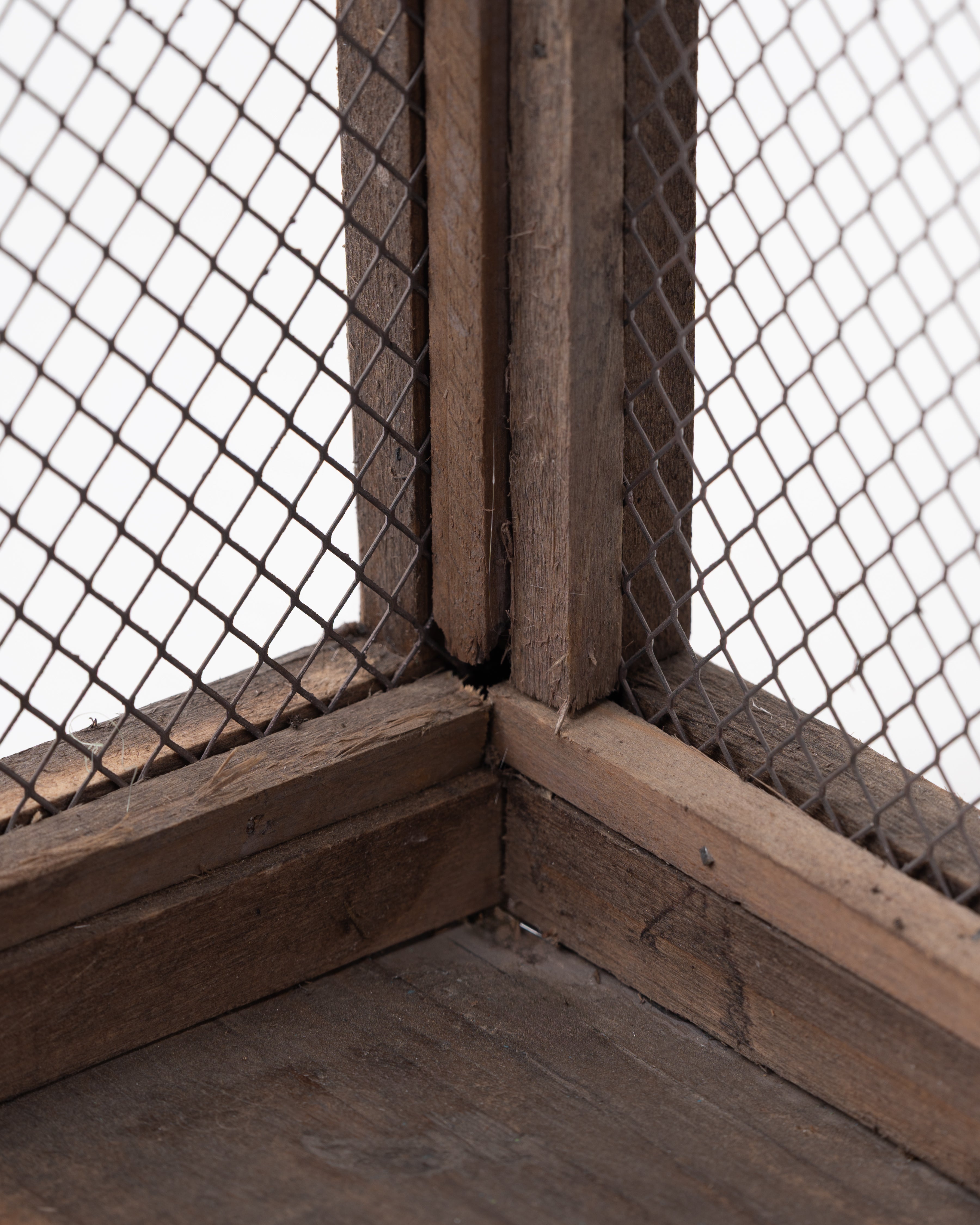 Greenhouse Botanica Box | Large