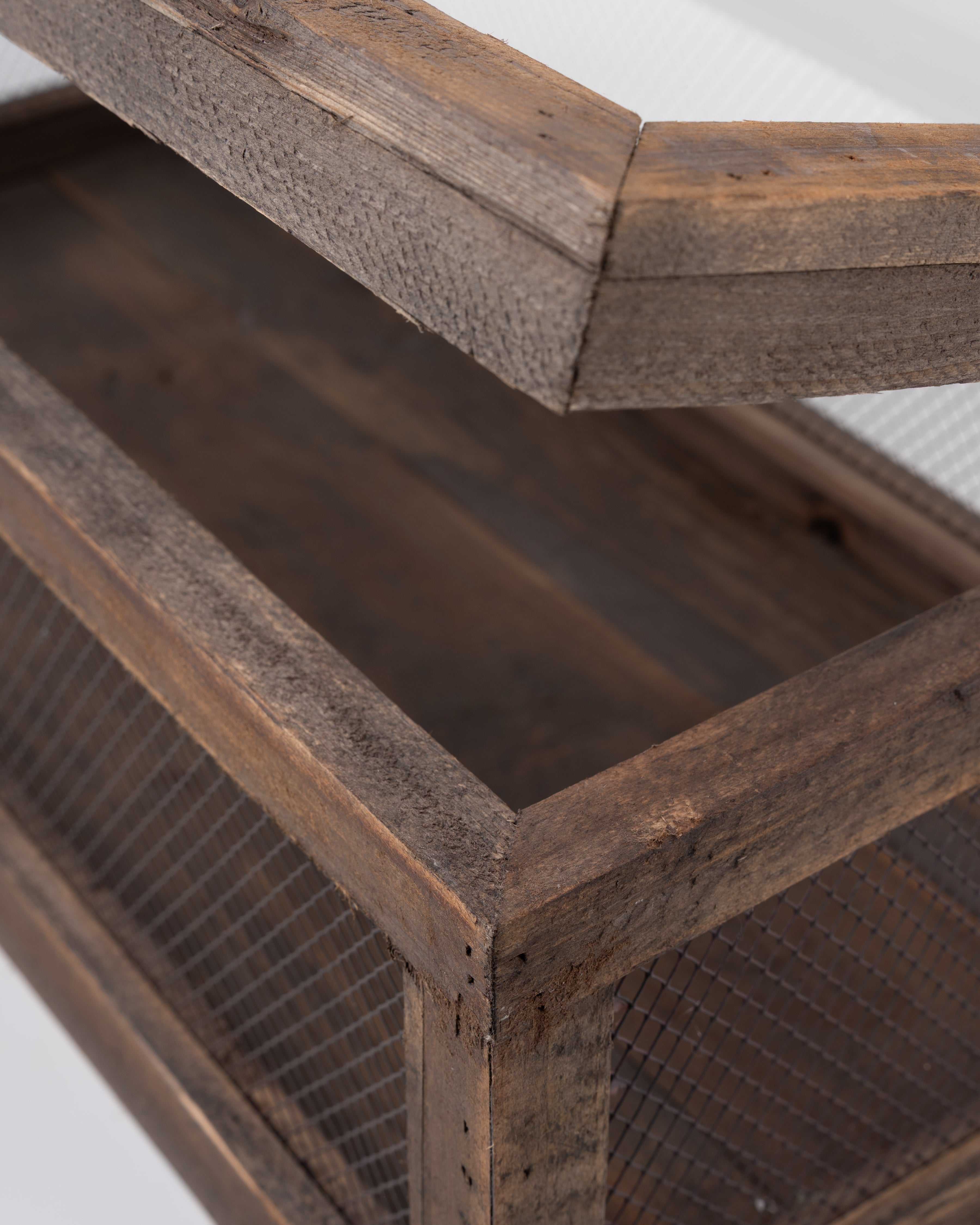 Greenhouse Botanica Box | Large