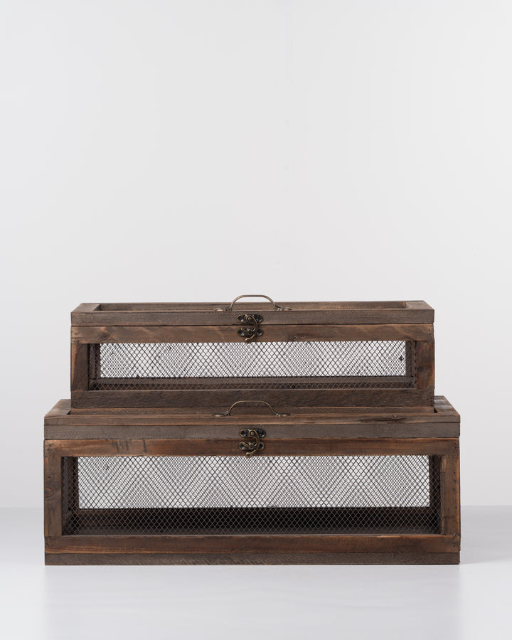 Greenhouse Botanica Box | Large