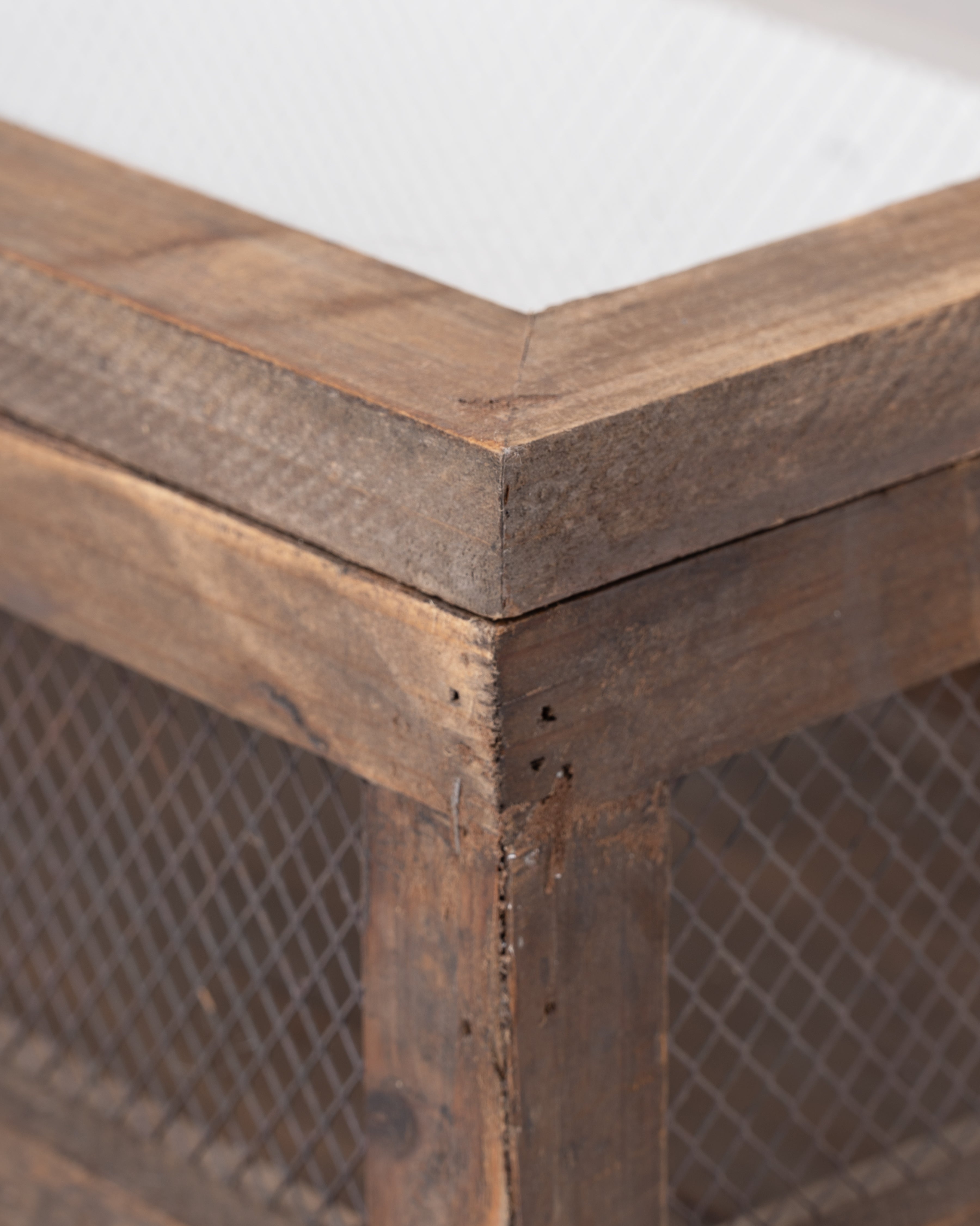 Botanica Box | Medium