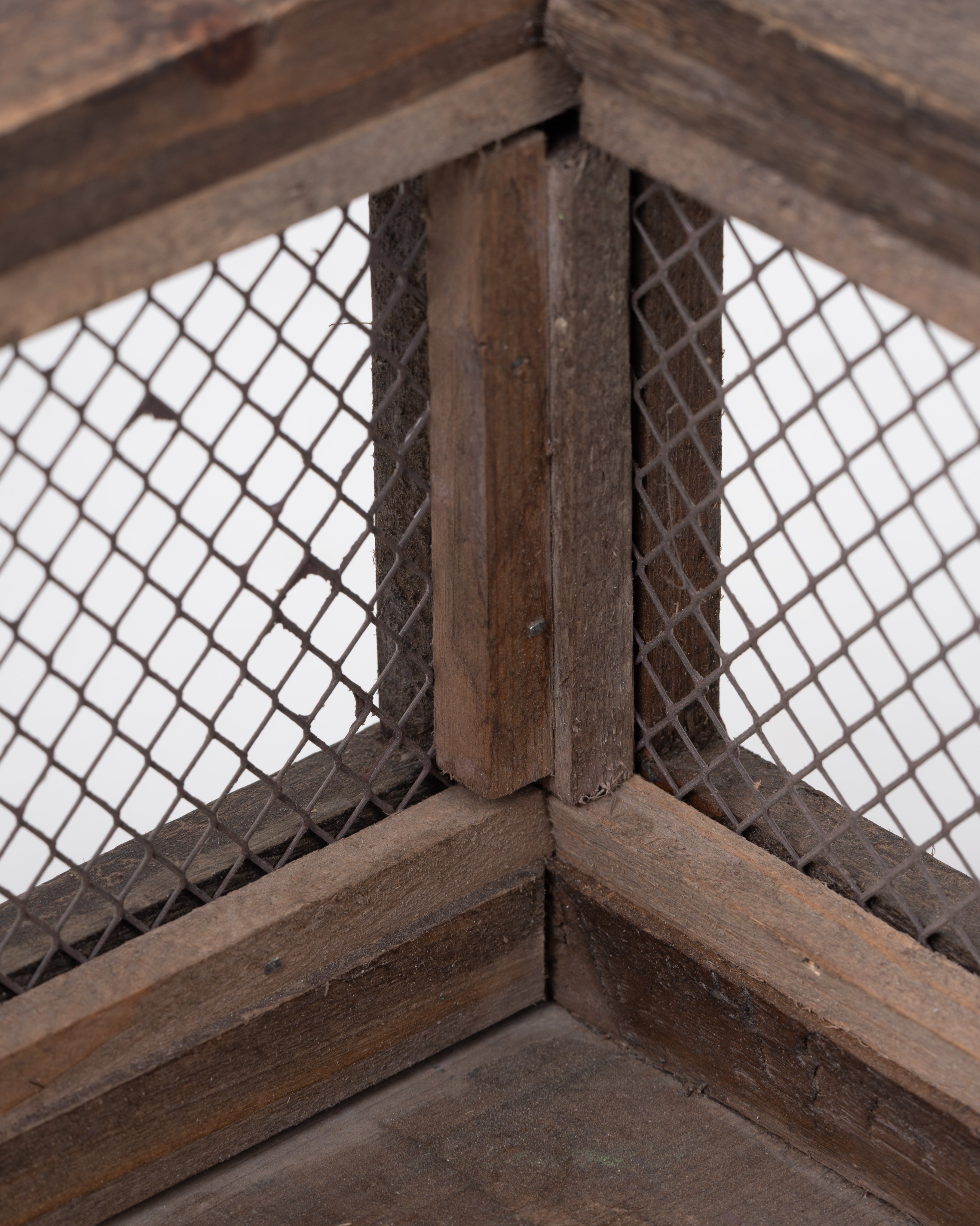 Botanica Box | Medium