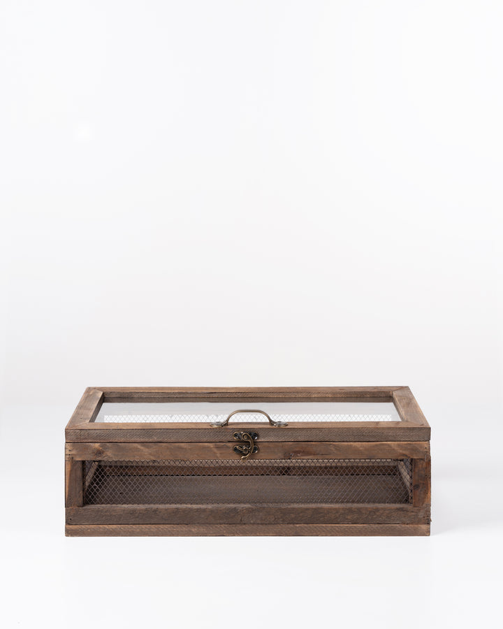 Greenhouse Botanica Box | Medium